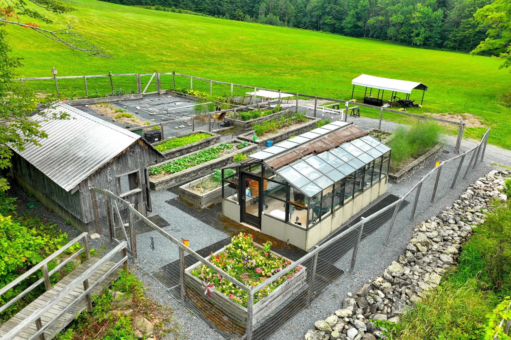The green house and garden 25194122