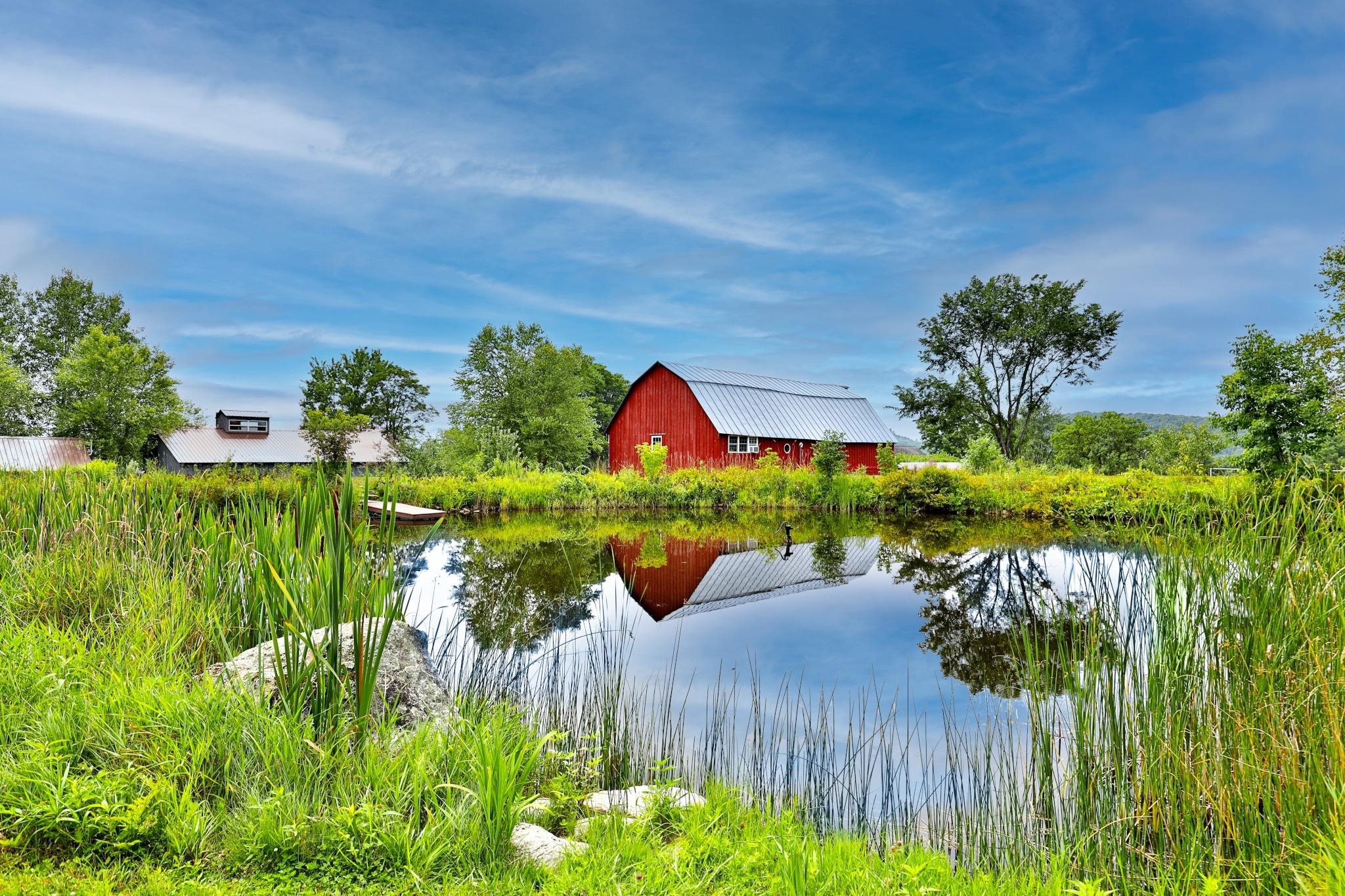 One of two ponds 25195284