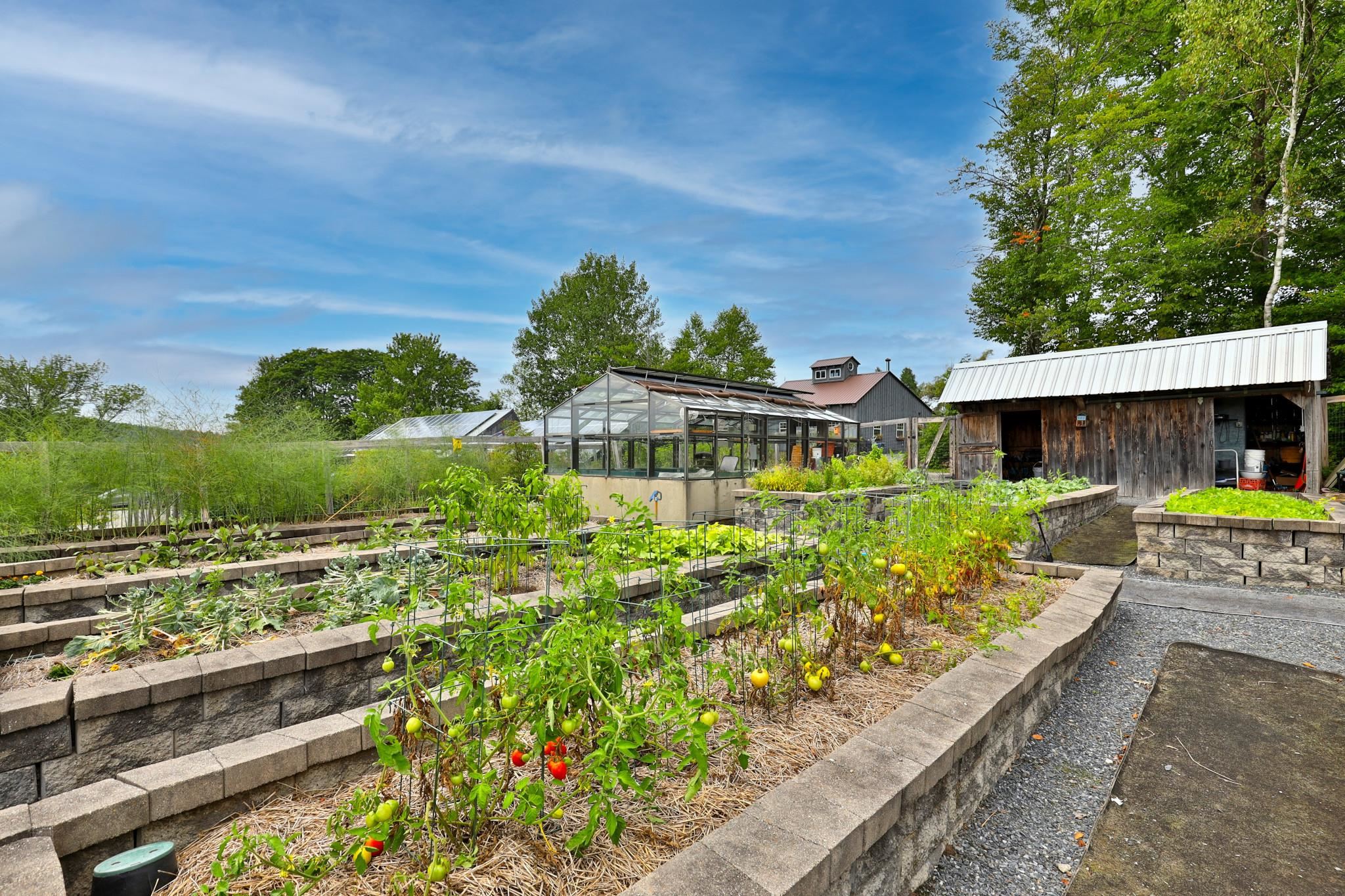 Raised beds 25195410