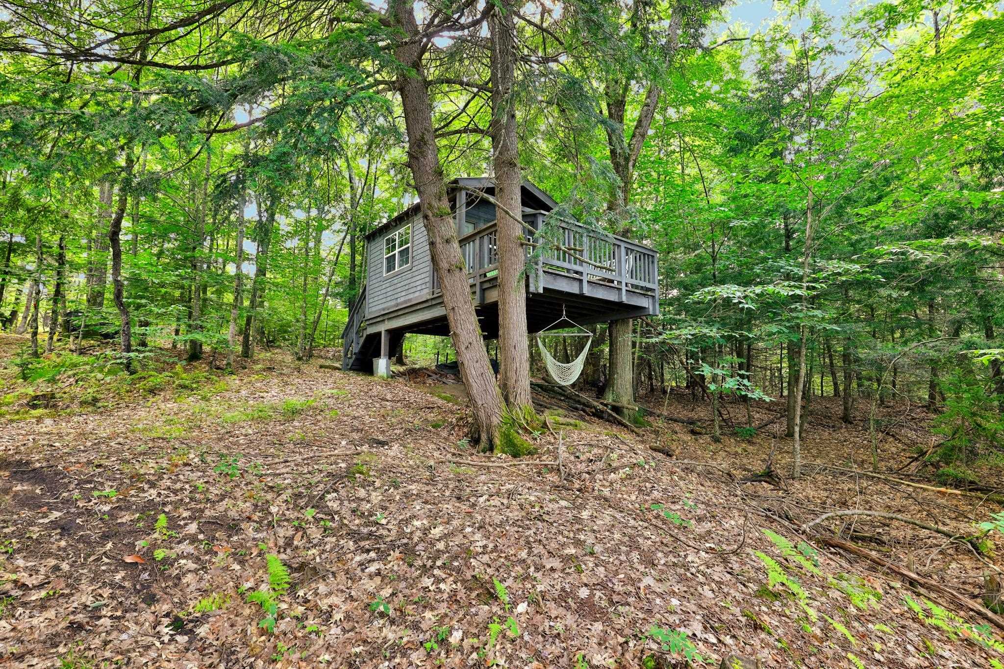 The Treehouse 25195332