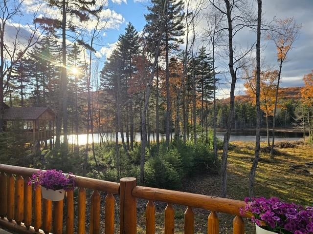 927 Ashueot Dr, Washington, NH 03280