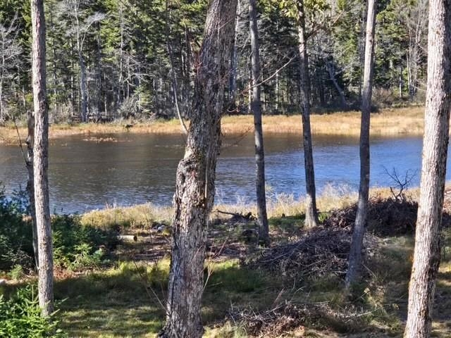 927 Ashueot Dr, Washington, NH 03280