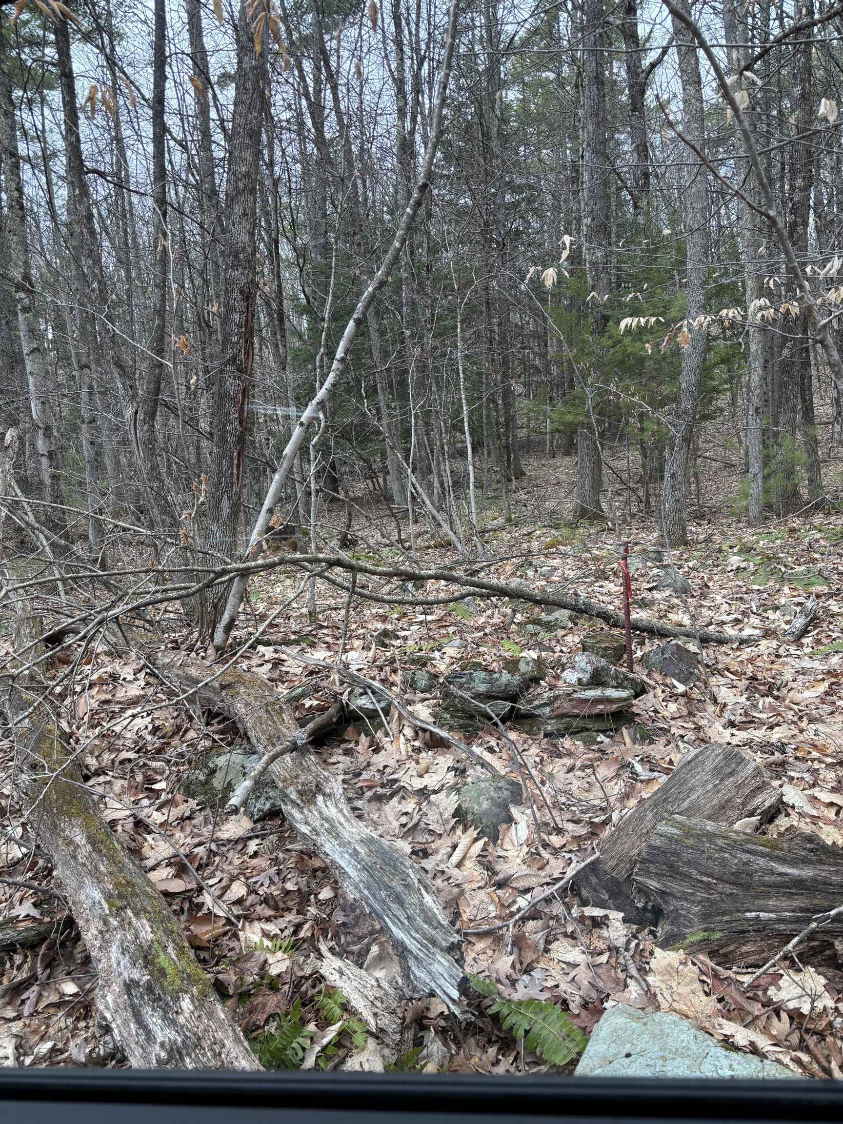 Castleton VT&nbsp;Land for sale $40,000 | 9.5 Acres  | Price Per Acre $0 