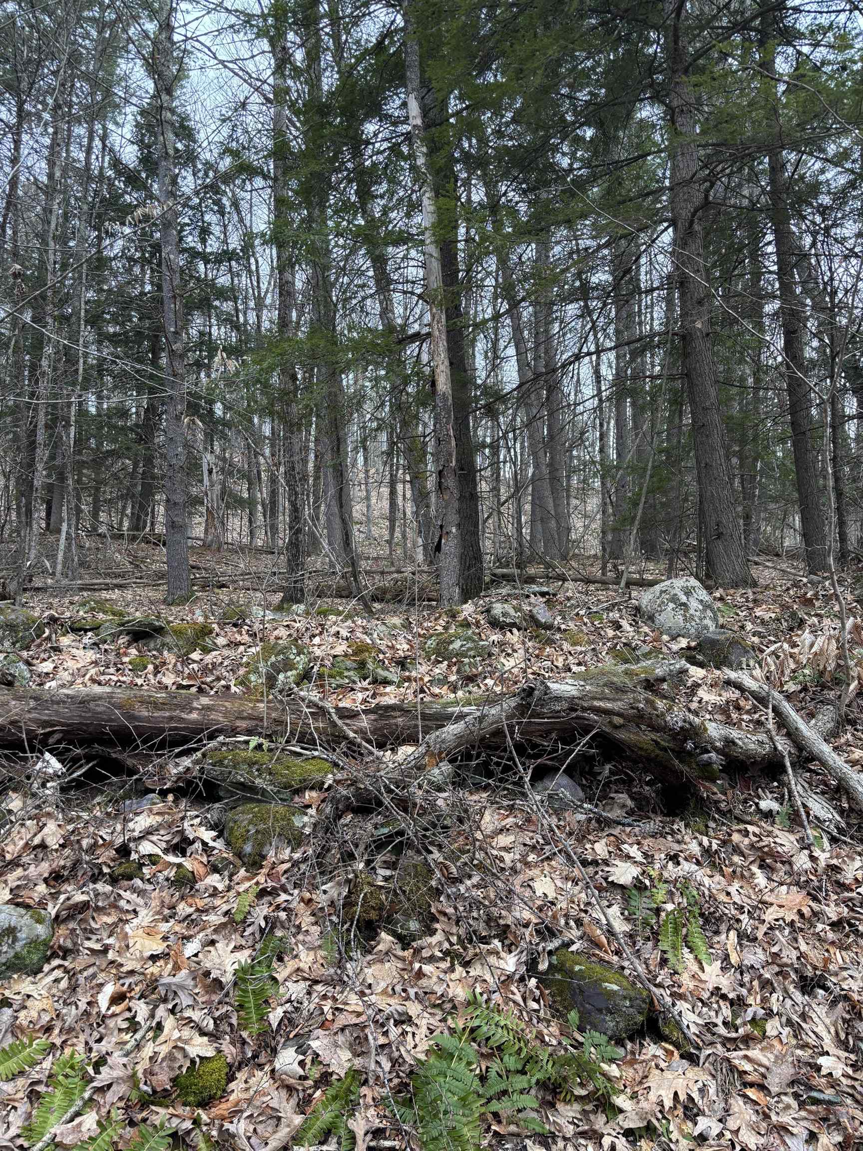Gleason land 2