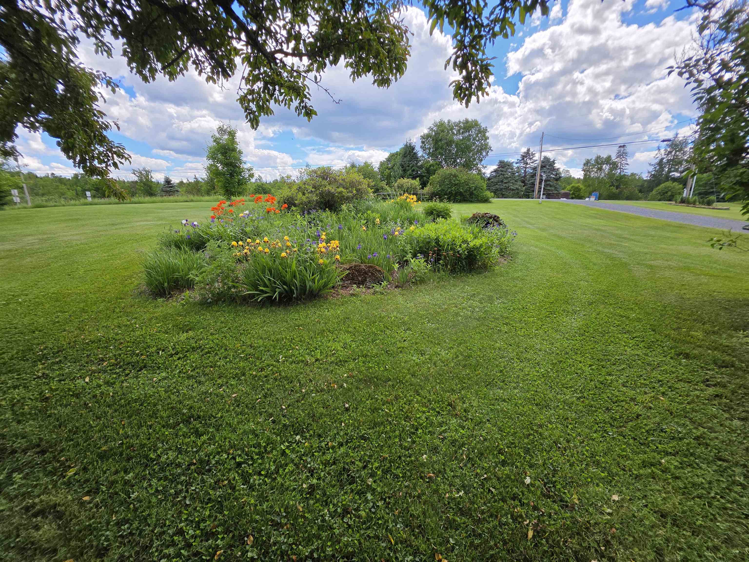 Property photo 49