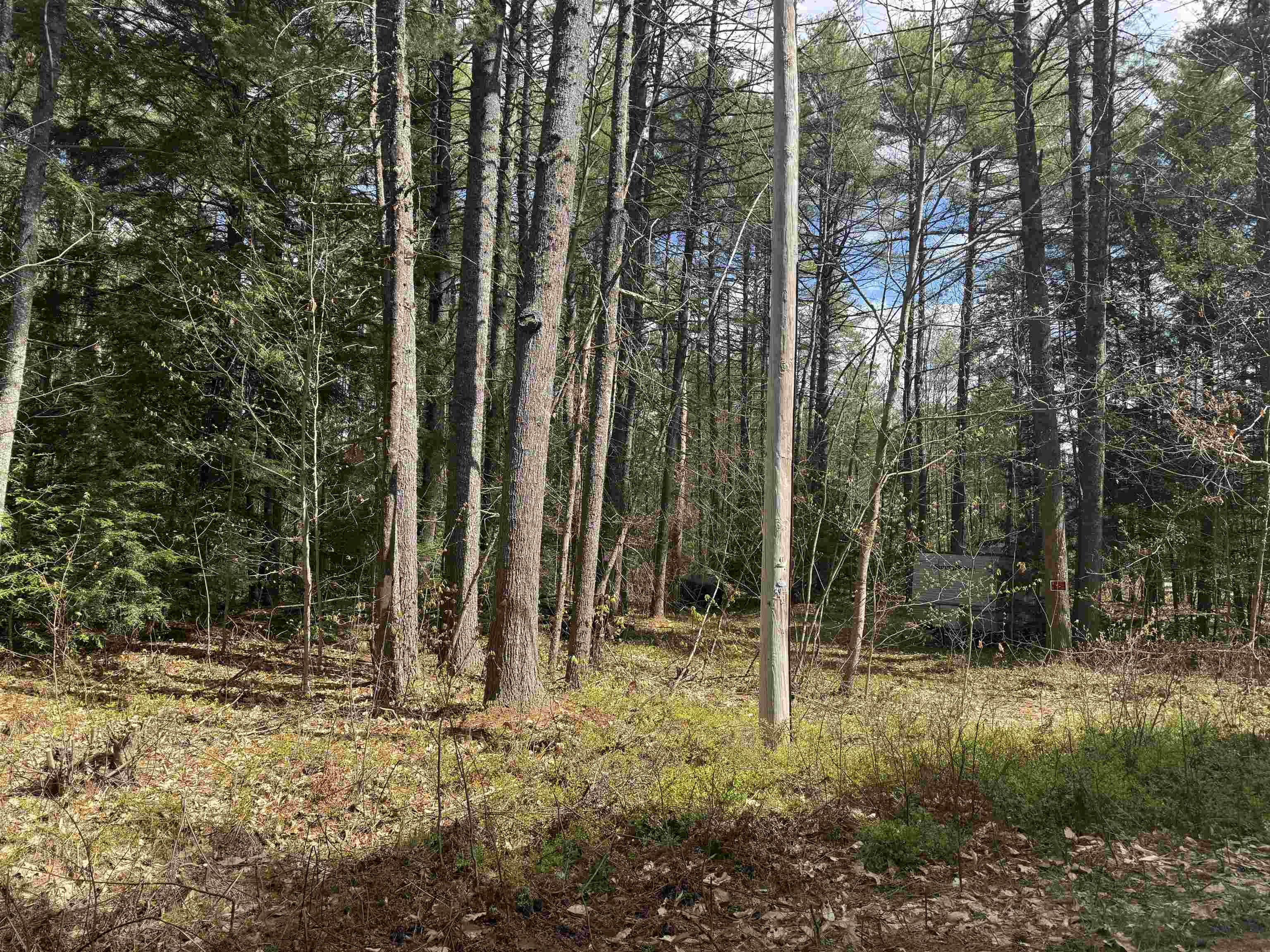 Riverwood Cir, Effingham, NH 03882