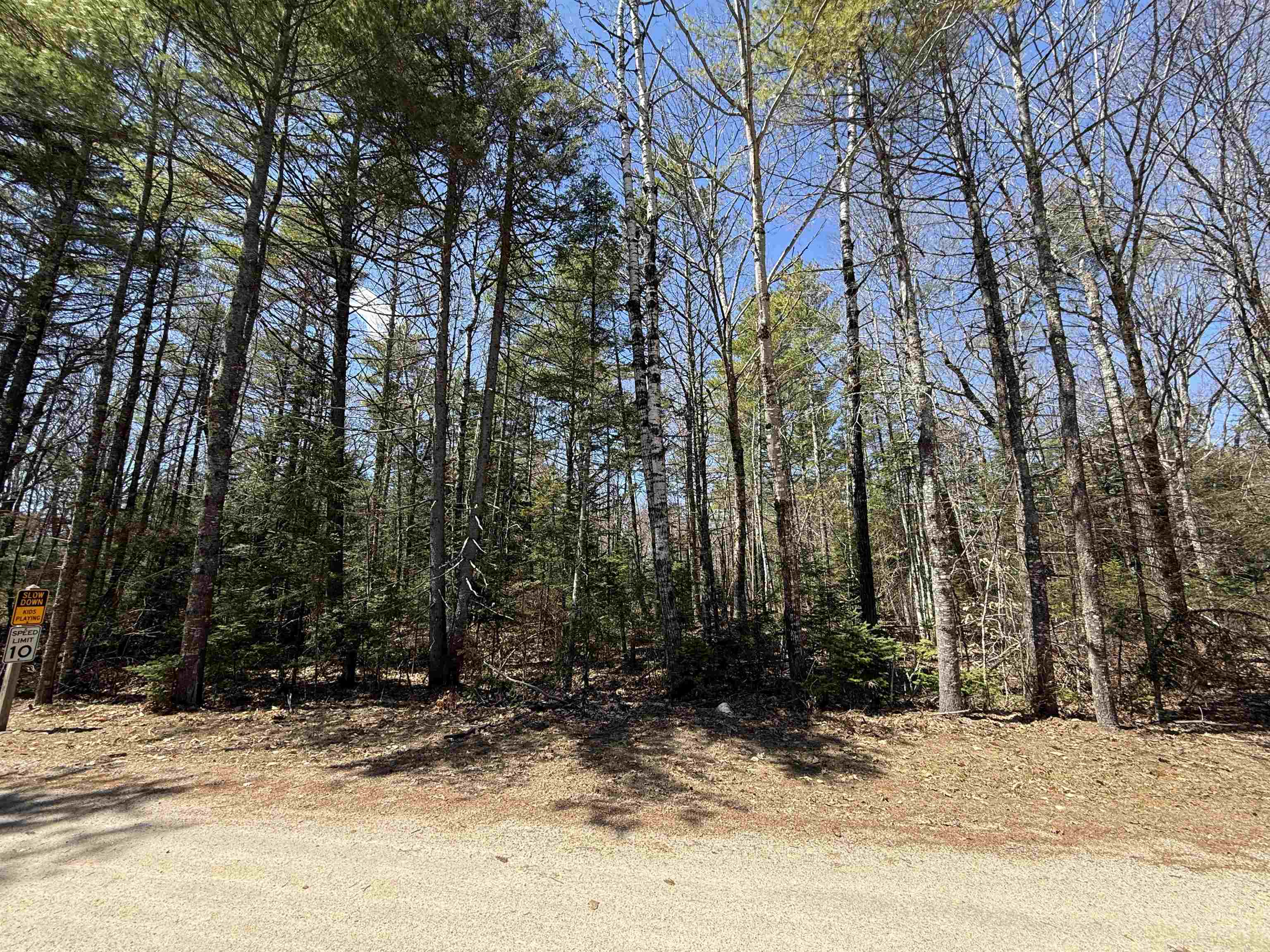 Lot 14 Partridgeberry Cir, Tuftonboro, NH 03816