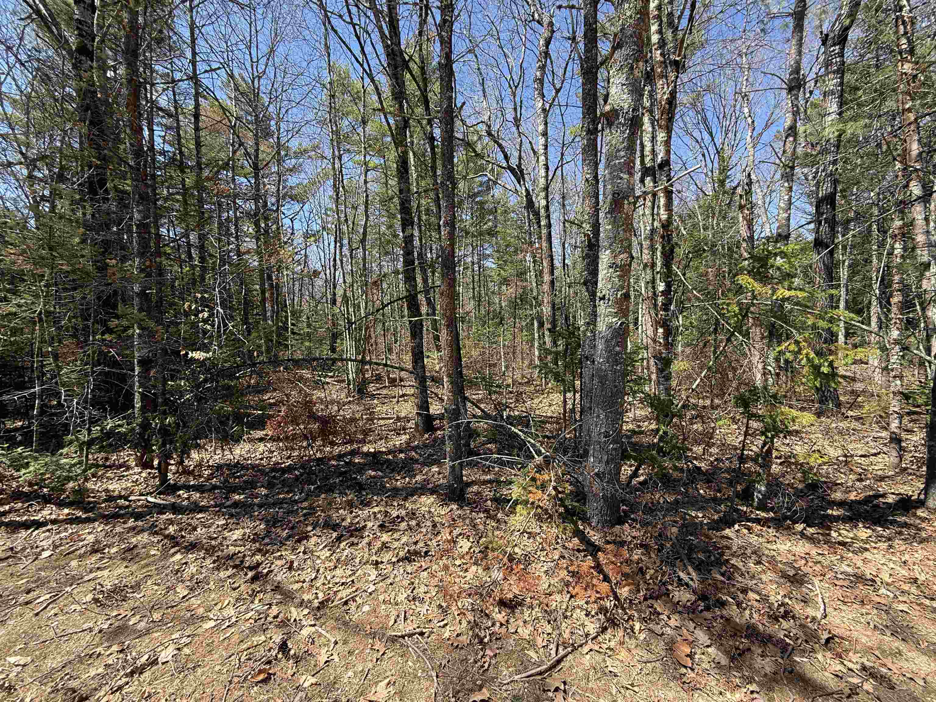 Lot 14 Partridgeberry Cir, Tuftonboro, NH 03816
