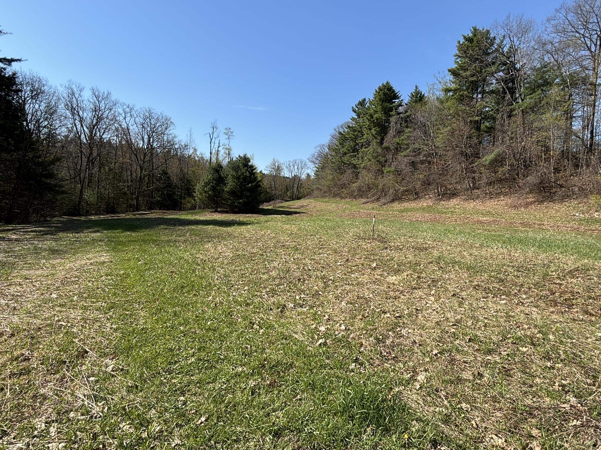 Open Land