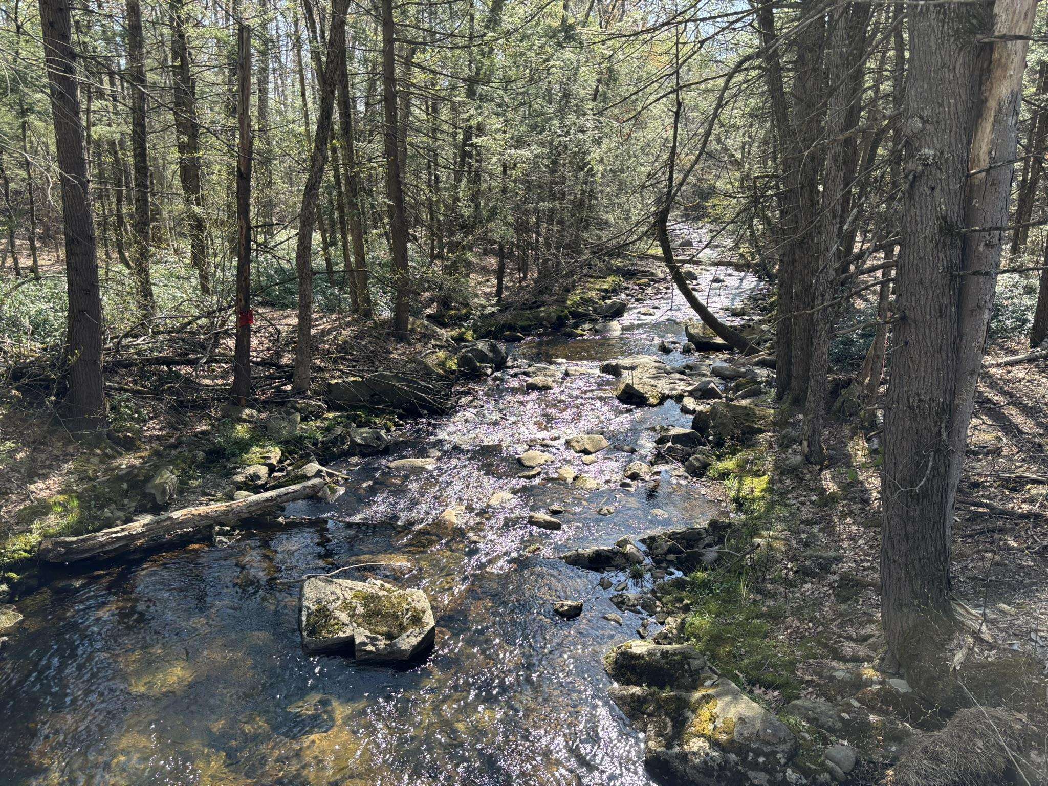 Crossing Blood Brook on entry drive