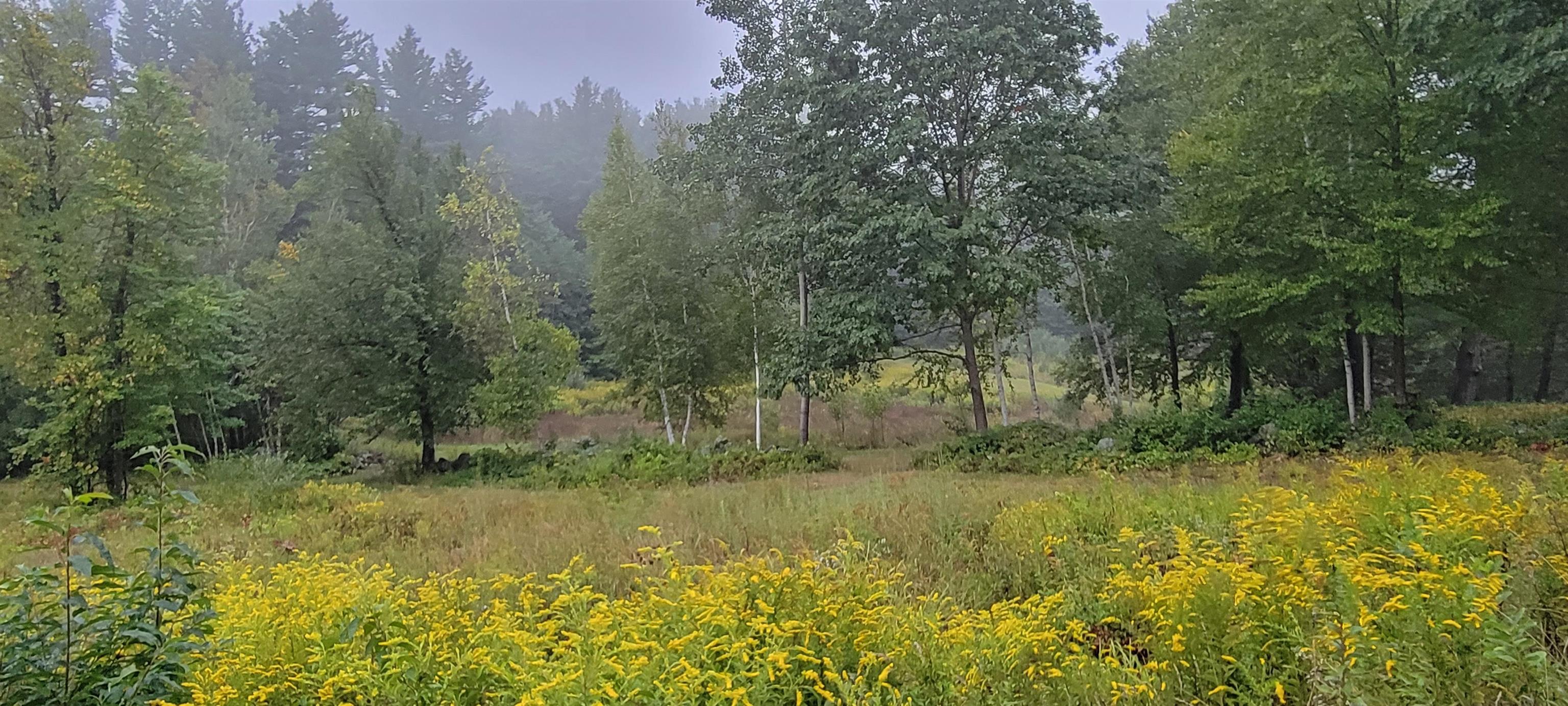 off Mccrae Rd, Temple, NH 03084