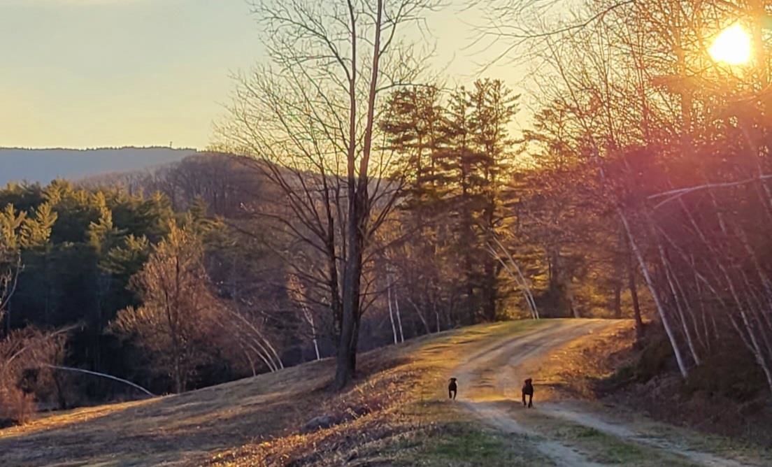 off Mccrae Rd, Temple, NH 03084