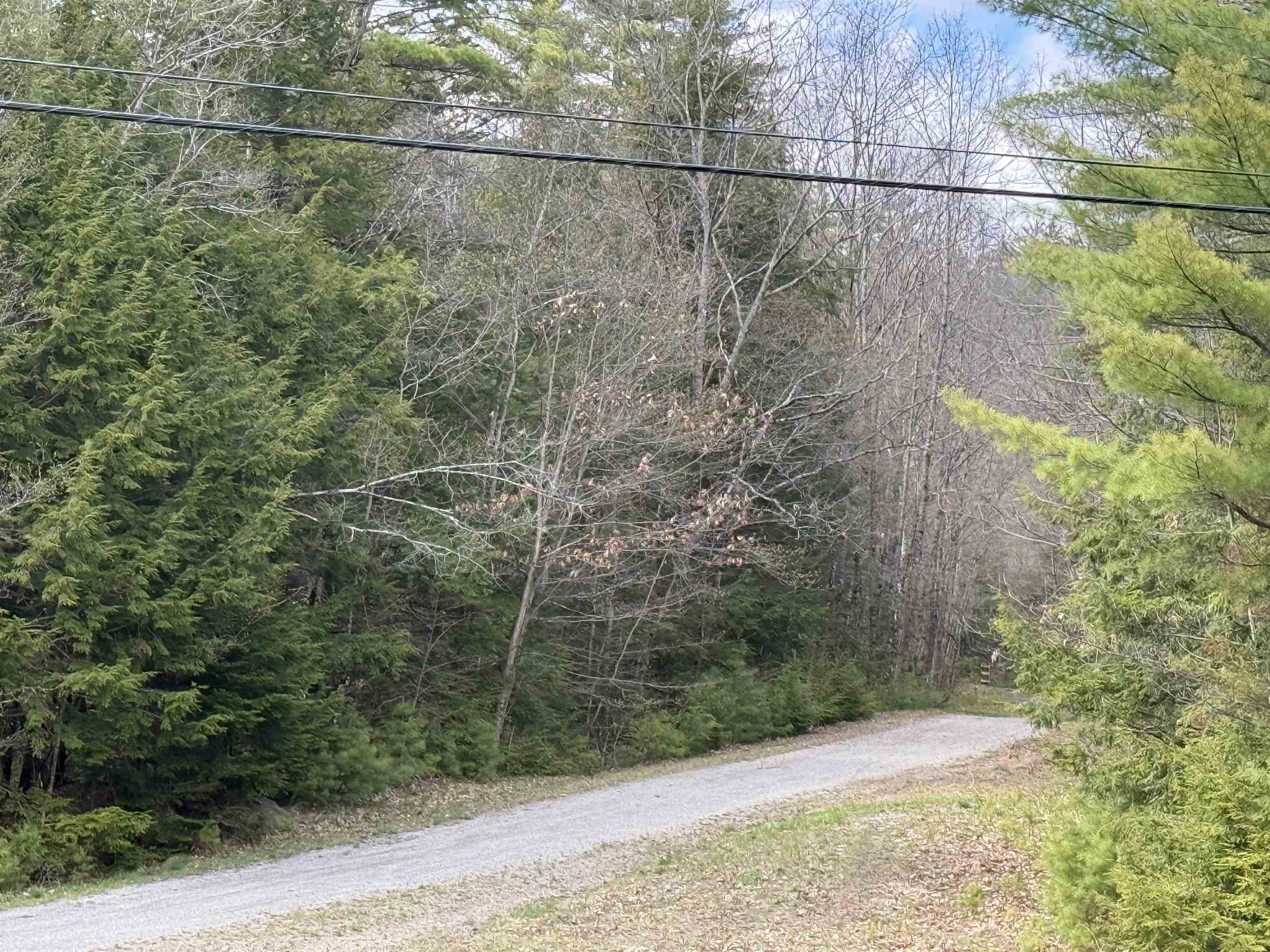 Walk To Rail Trail 25217018