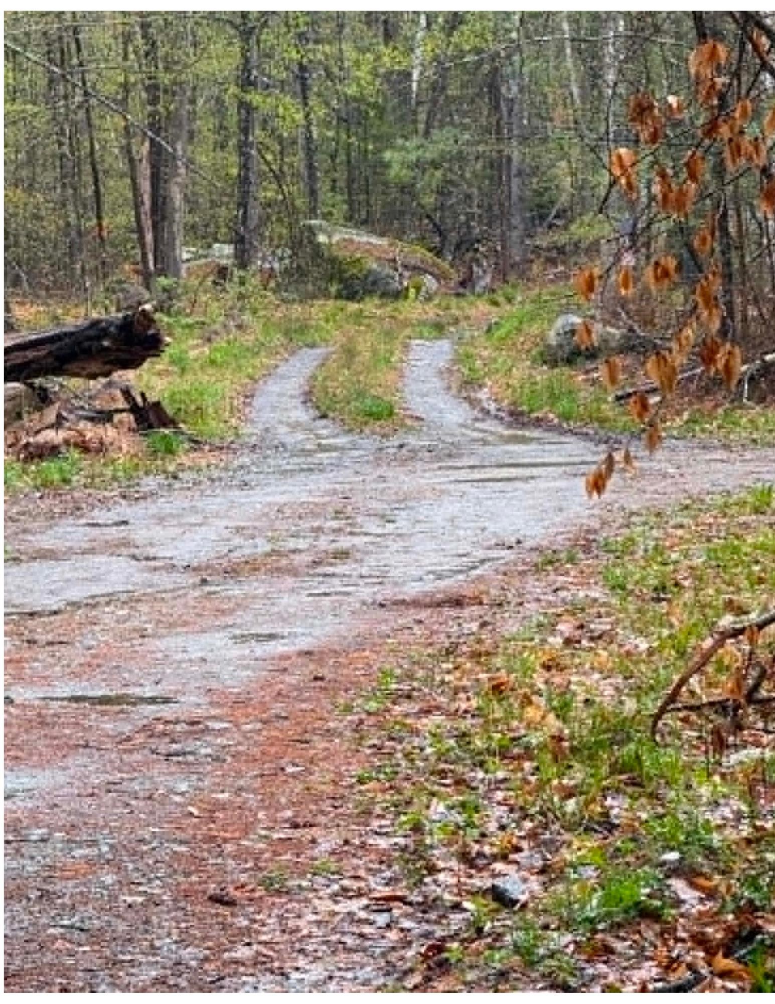 20 Fortsalong Rd, Meredith, NH 03253