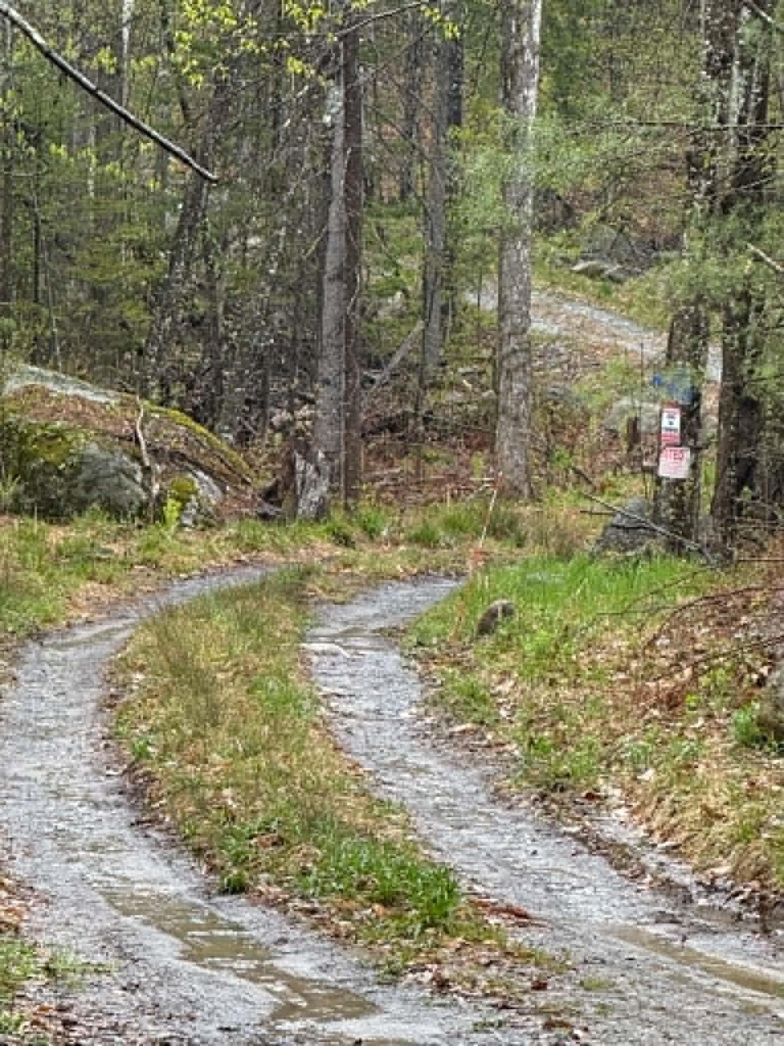 20 Fortsalong Rd, Meredith, NH 03253