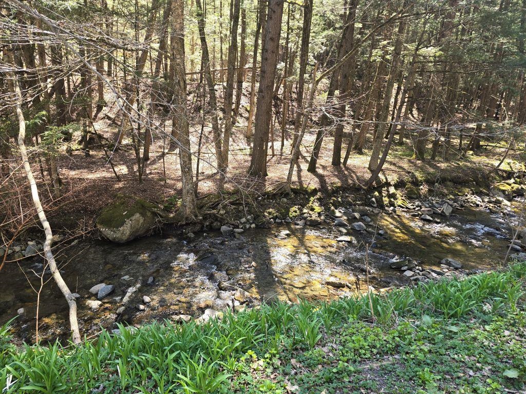 image of Springfield VT 