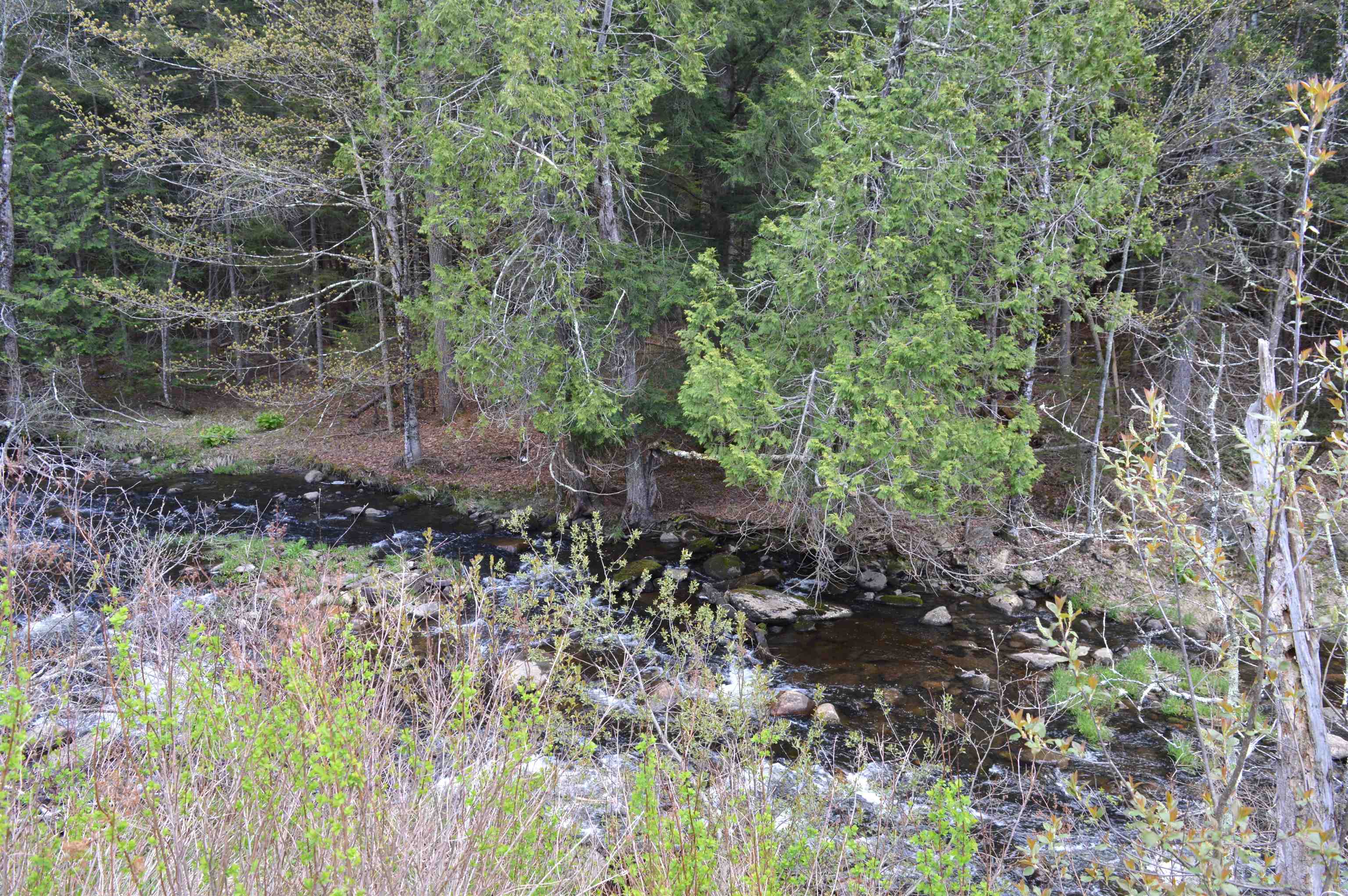 407 River Rd, Acworth, NH 03601
