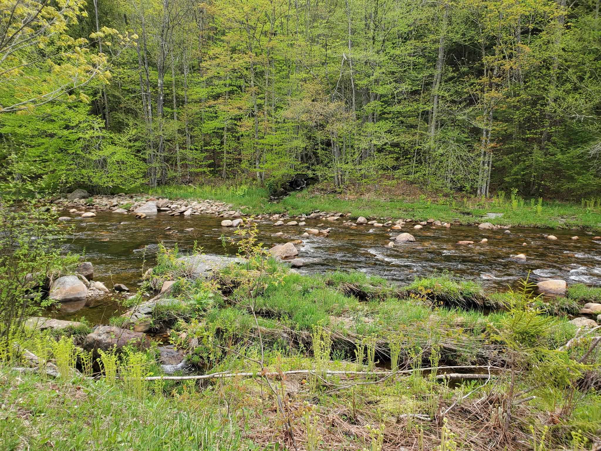 Southwest corner of the property