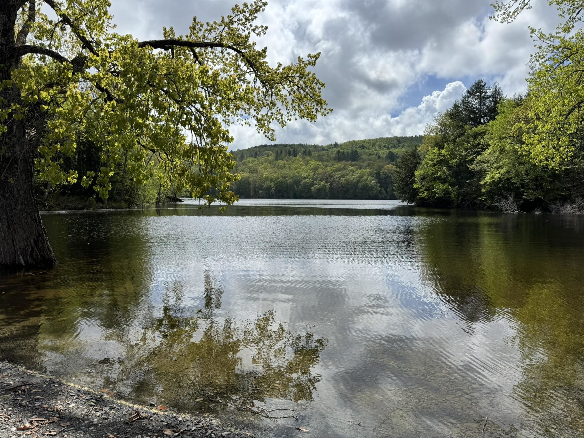 Lake Whitingham Boat Launch in Whitingham