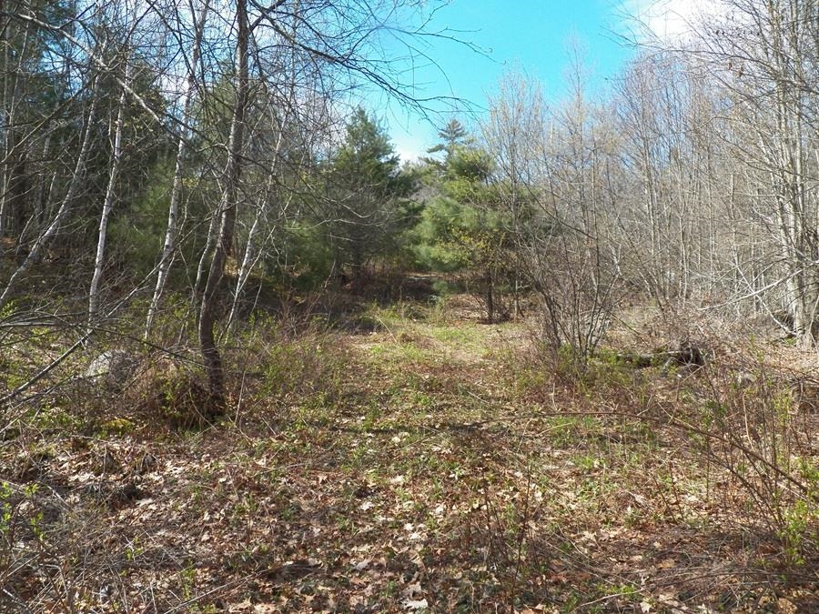 Epsom NH&nbsp;Commercial Property for sale $$1,600,000 