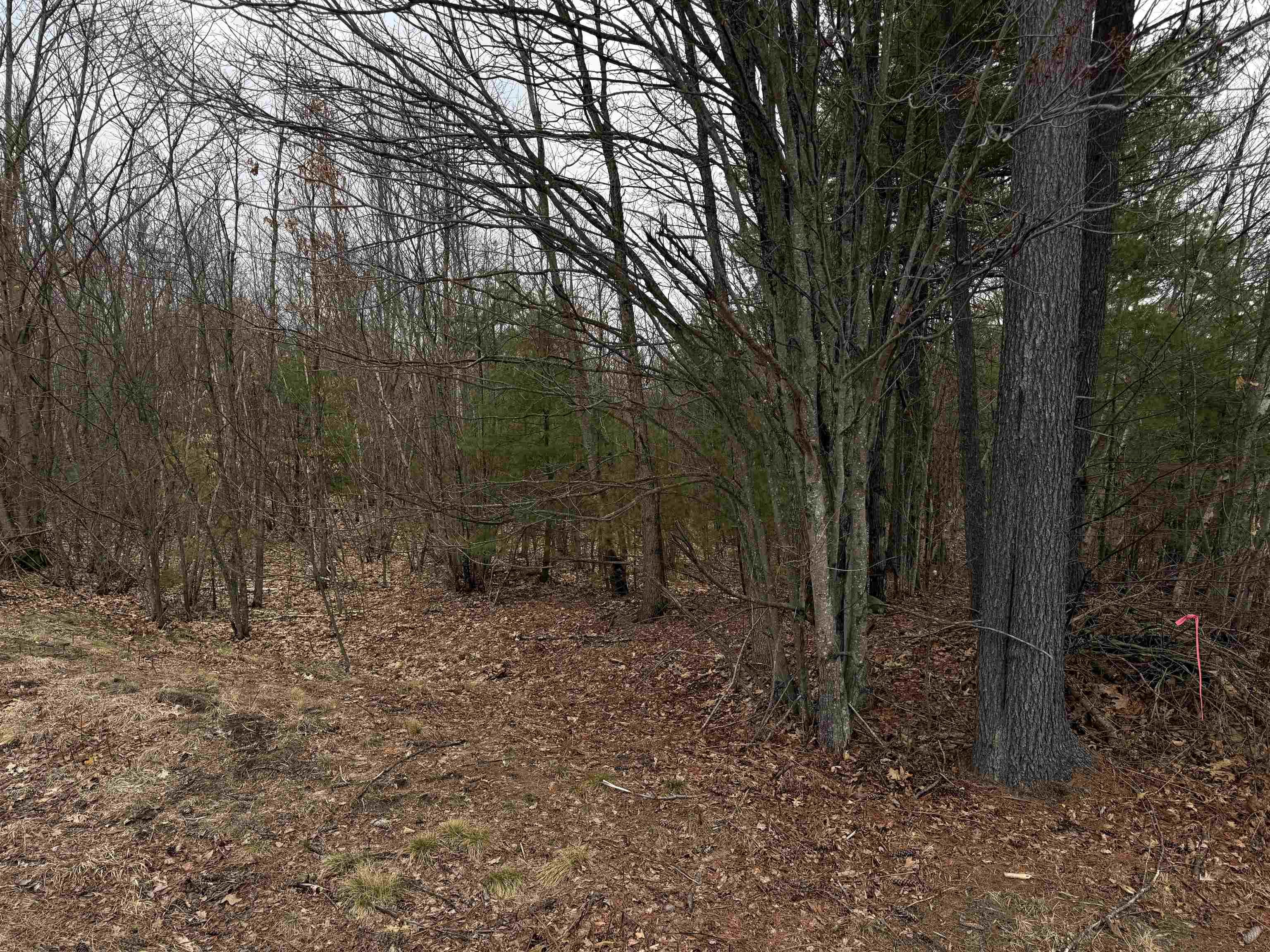 1986 Dover Rd, Epsom, NH 03234