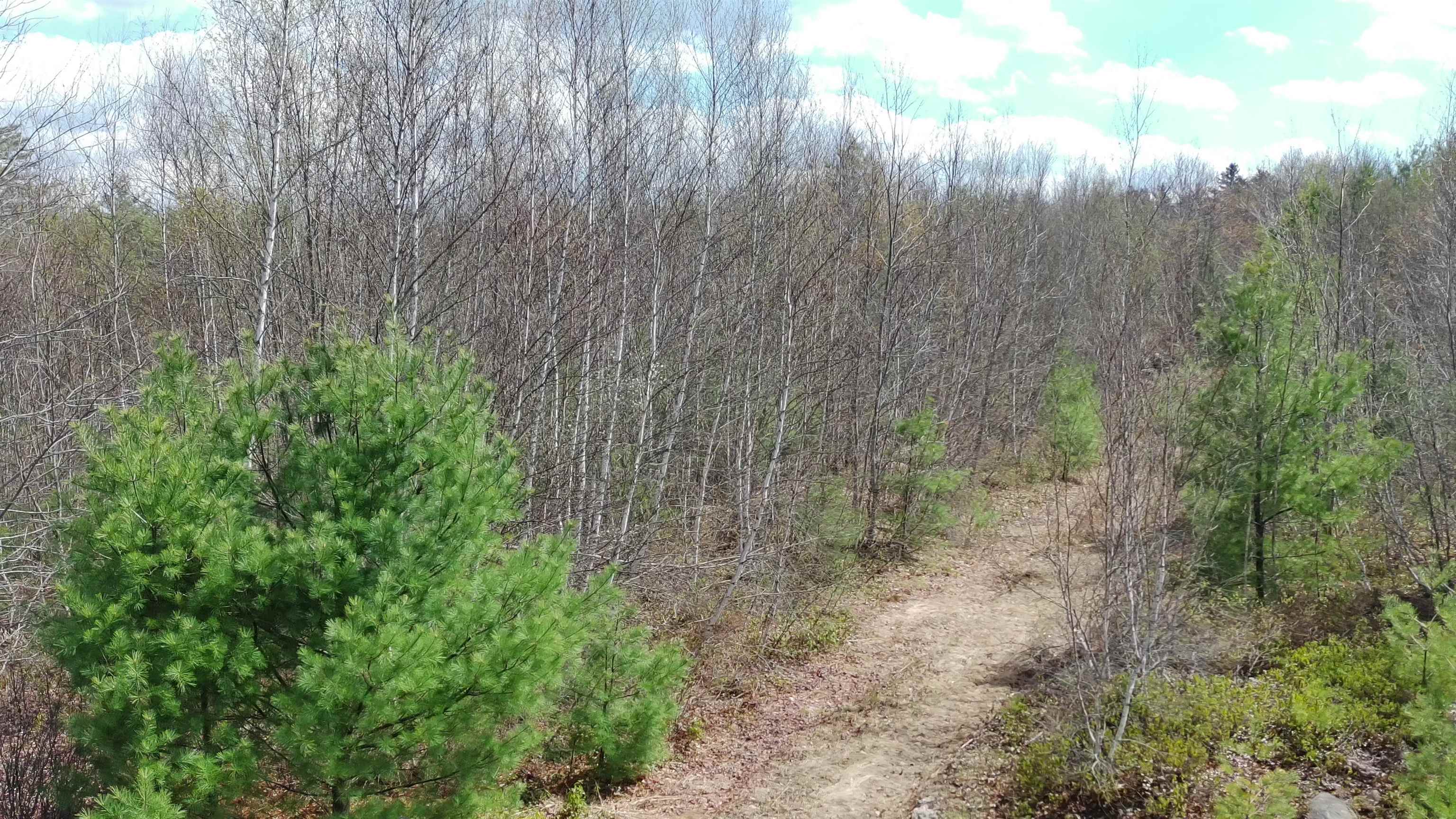 988 Dover Rd, Epsom, NH 03234