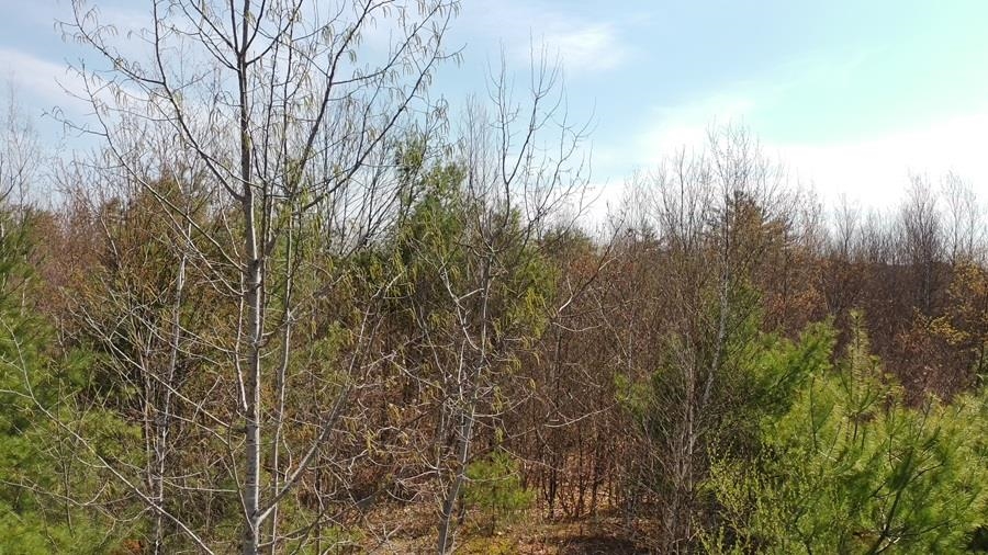 988 Dover Rd, Epsom, NH 03234