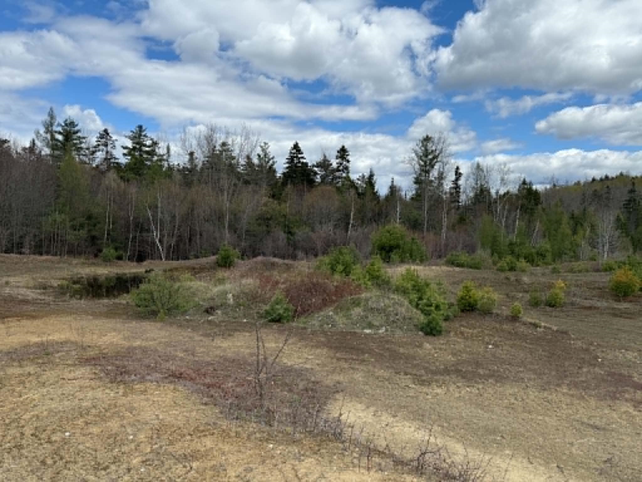 Lot 7 Bog Rd, Enfield, NH 03748