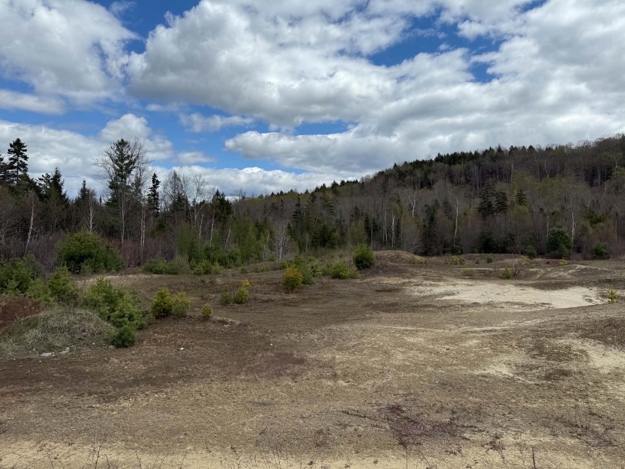 Lot 7 Bog Rd, Enfield, NH 03748