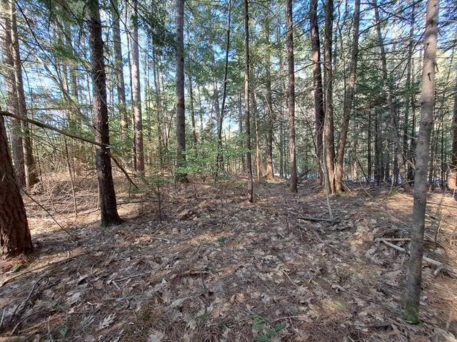 Thornton NH&nbsp;Land for sale $$84,900 | 1.17 Acres  | Price Per Acre $0 