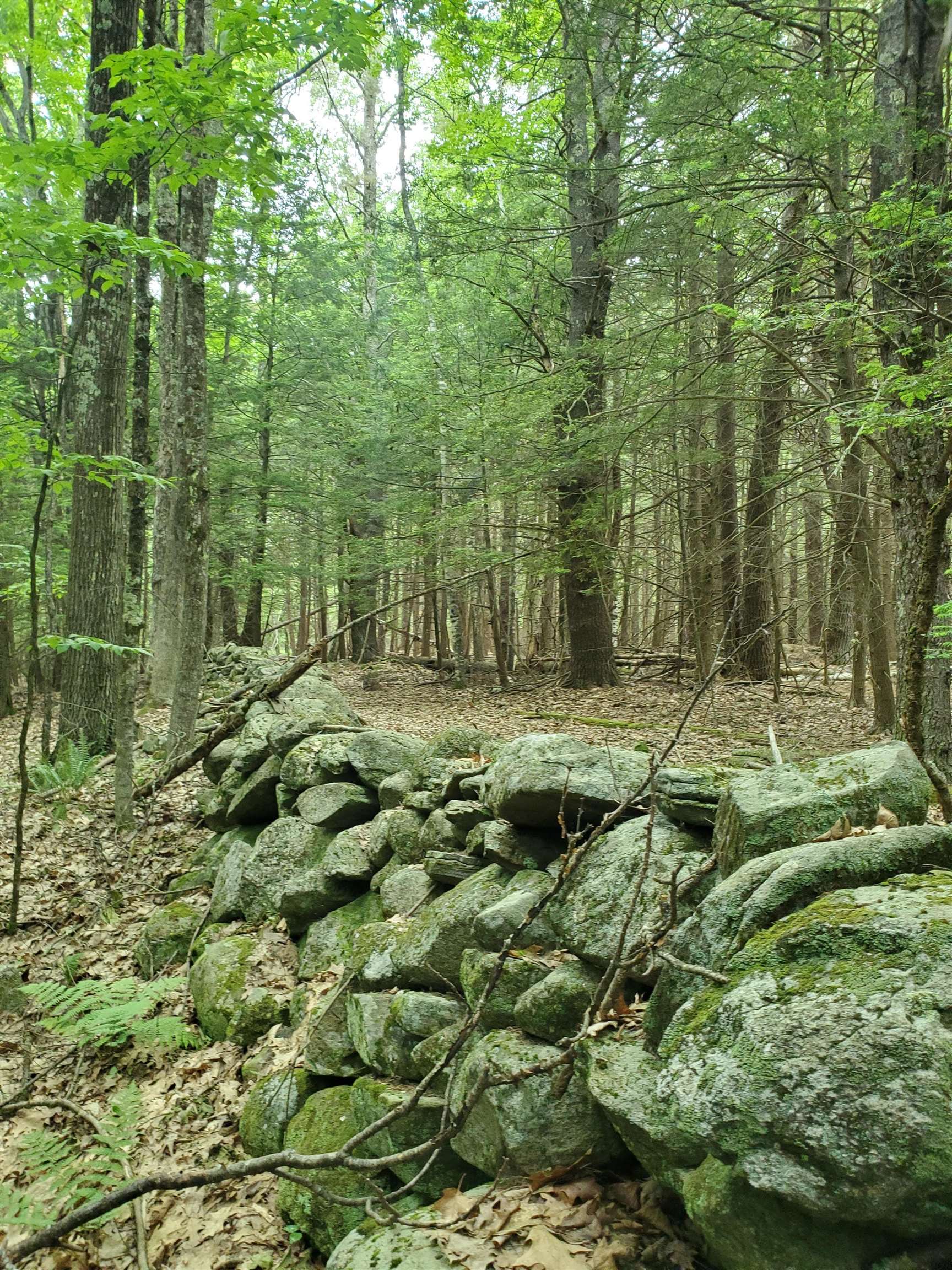 00 Monadnock Hw, Swanzey, NH 03446