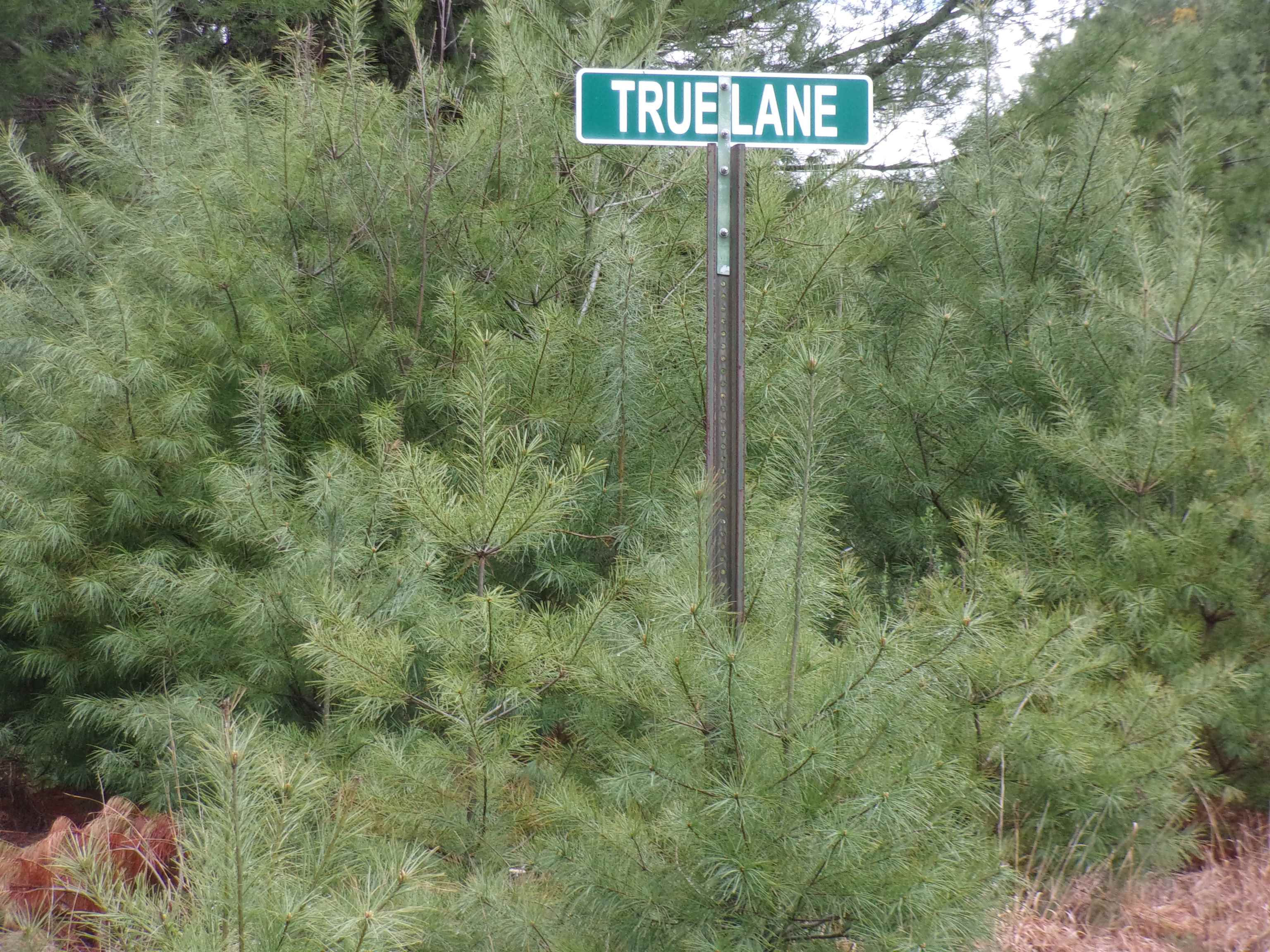 True Ln, Thornton, NH 03285