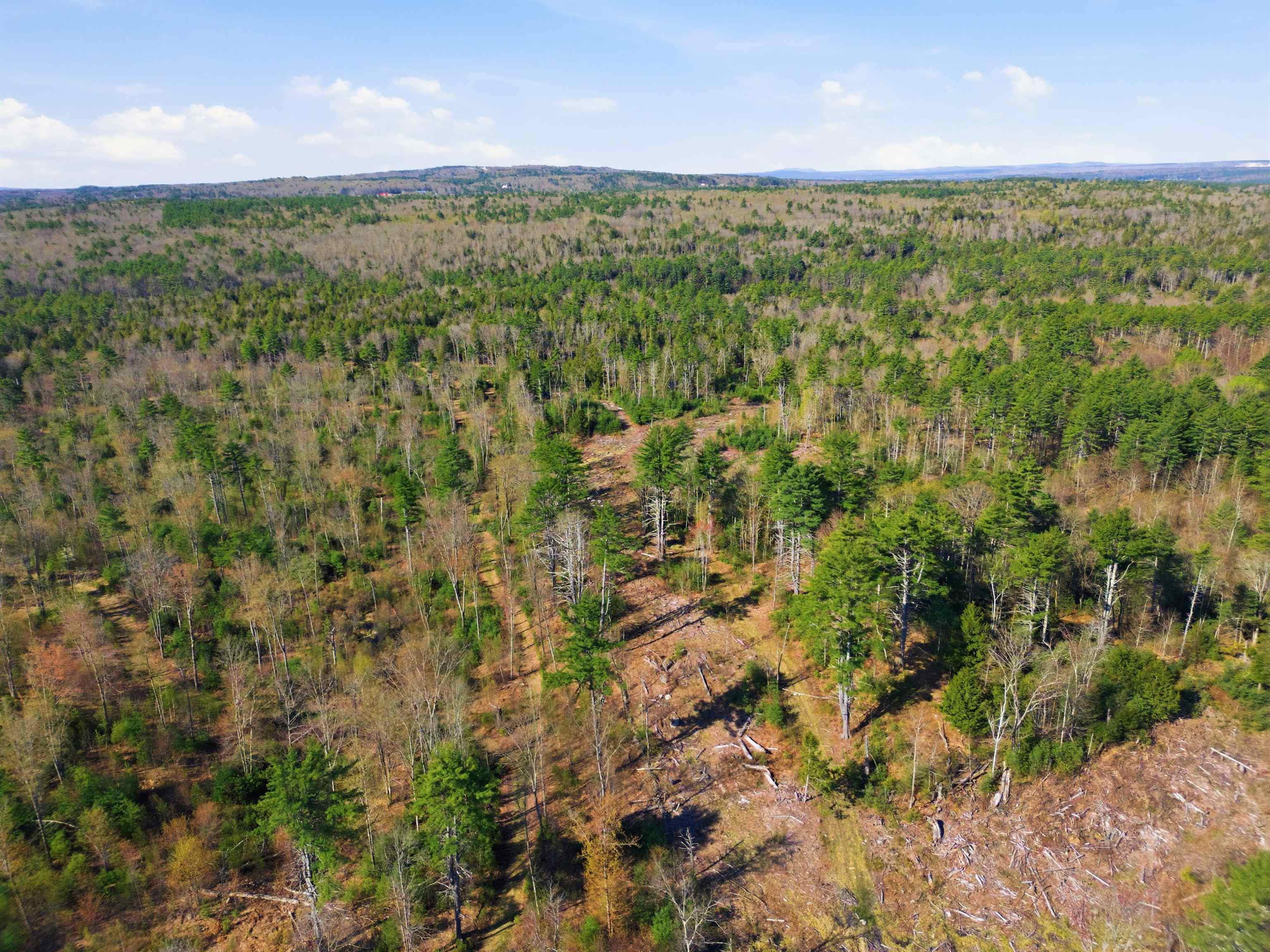 87 Bear Hill Rd, Chichester, NH 03258