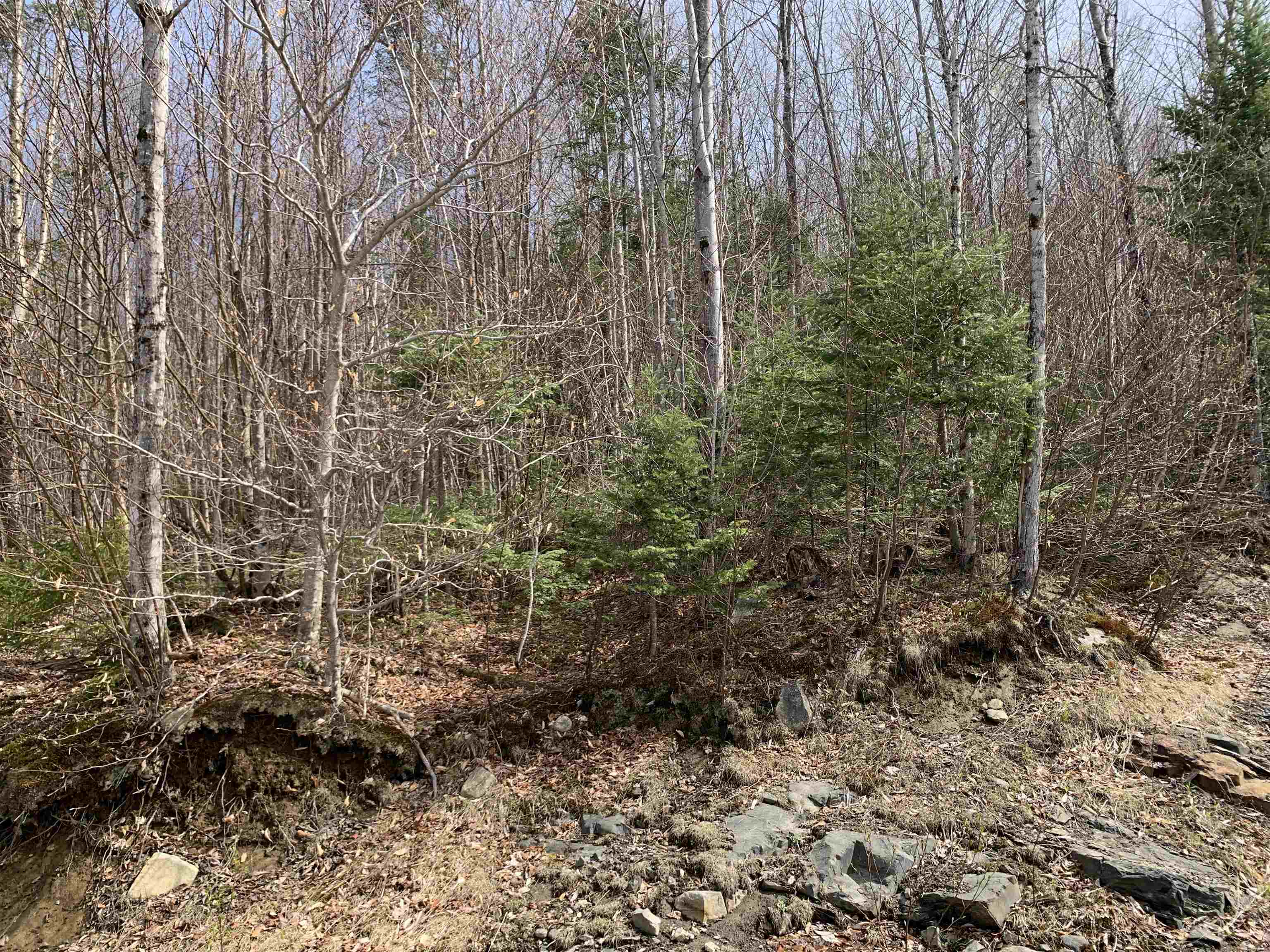 Lot 22.4 Washburn Rd, Columbia, NH 03576