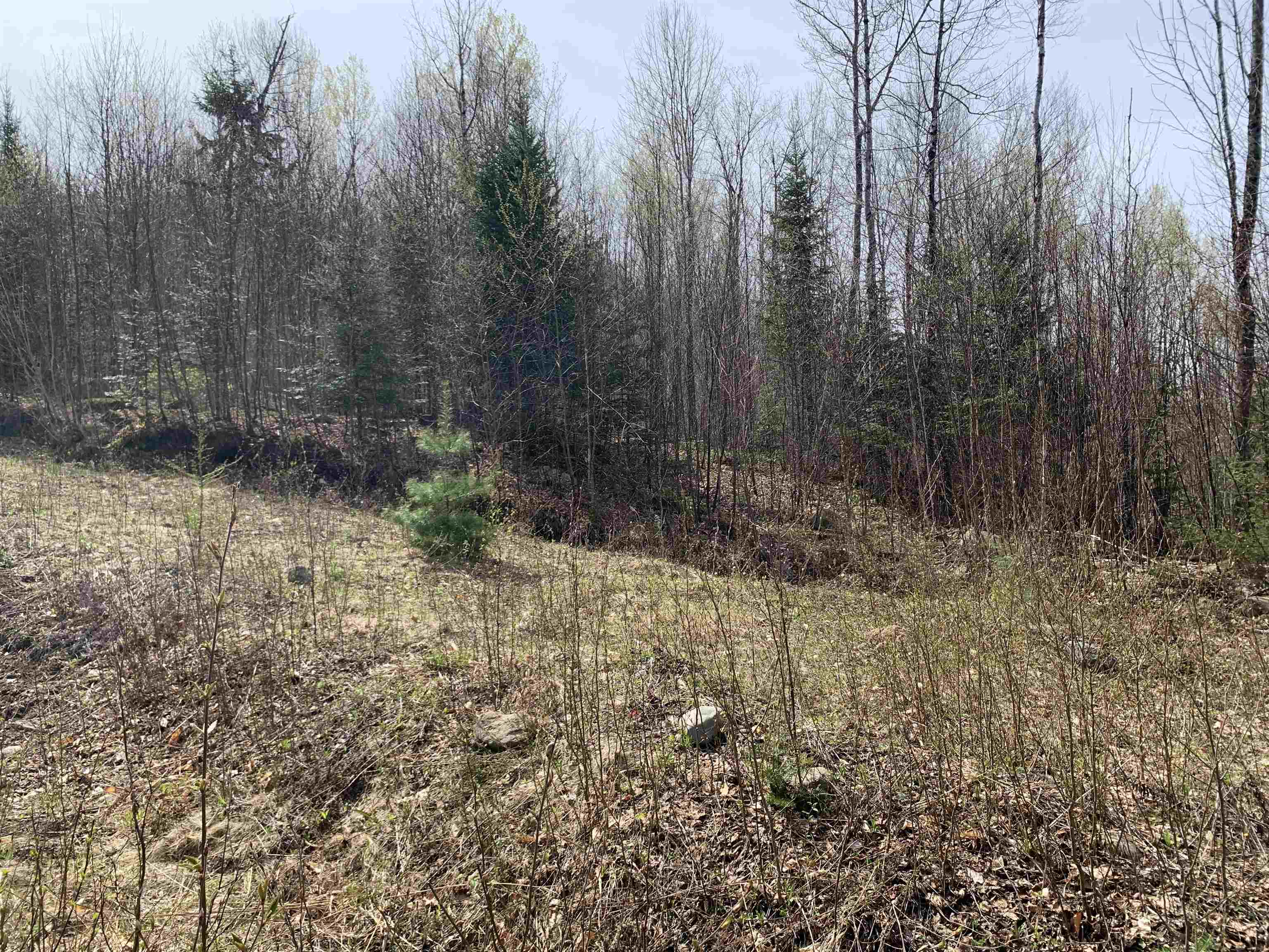 Lot 13 Washburn Rd, Columbia, NH 03576