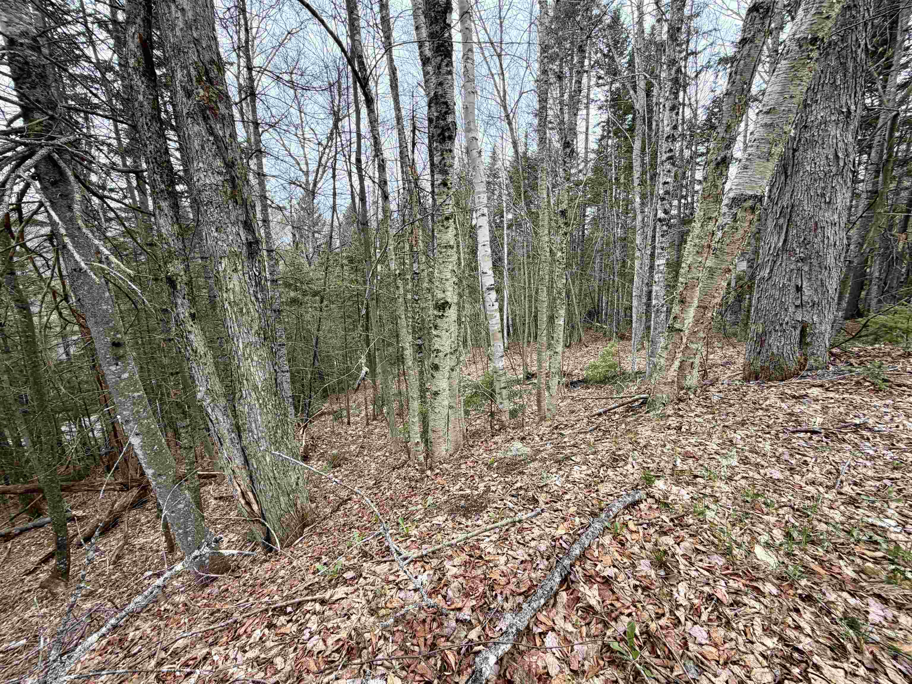 109 Snows Mountain Rd, Waterville Valley, NH 03215