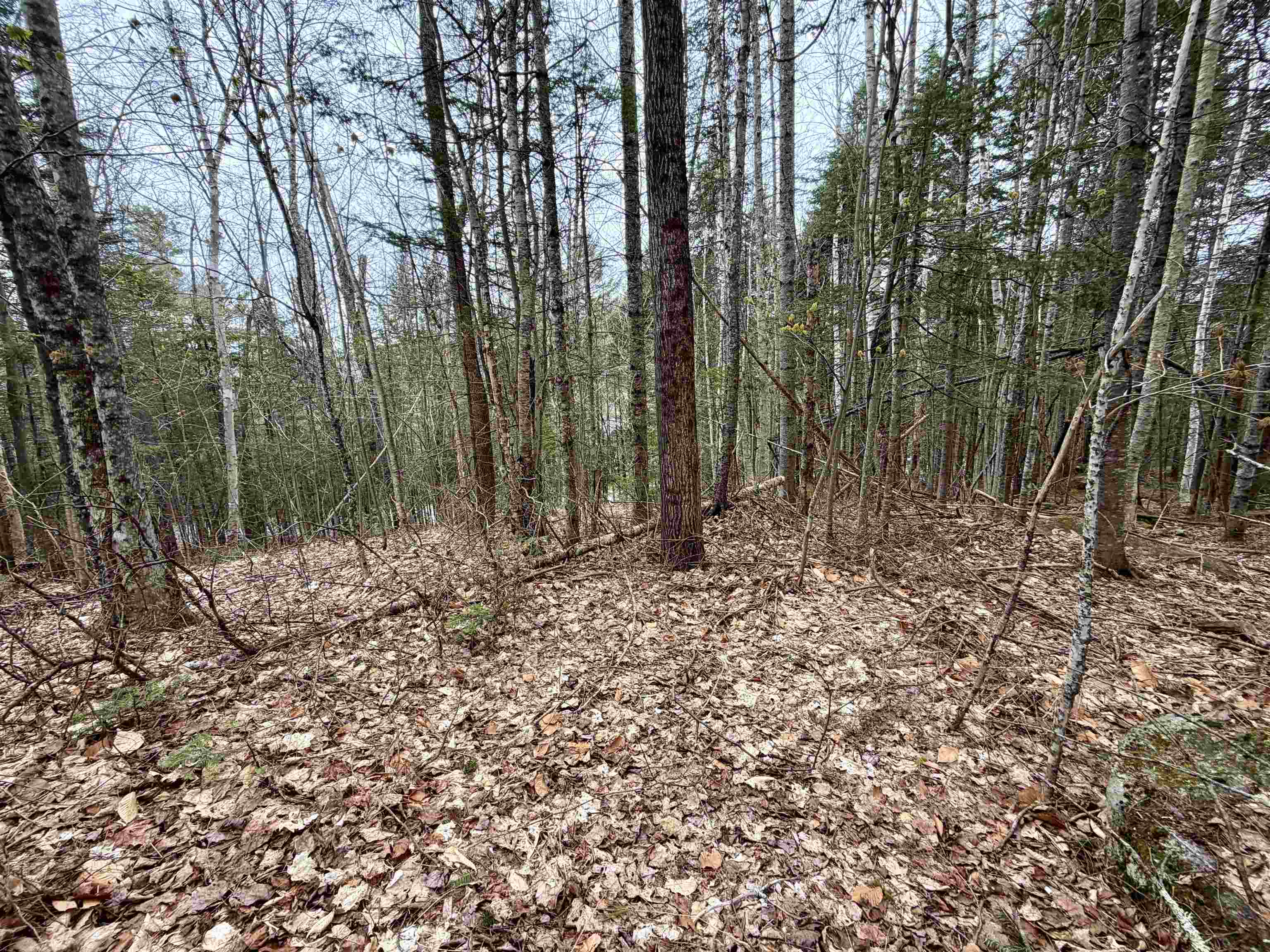 109 Snows Mountain Rd, Waterville Valley, NH 03215