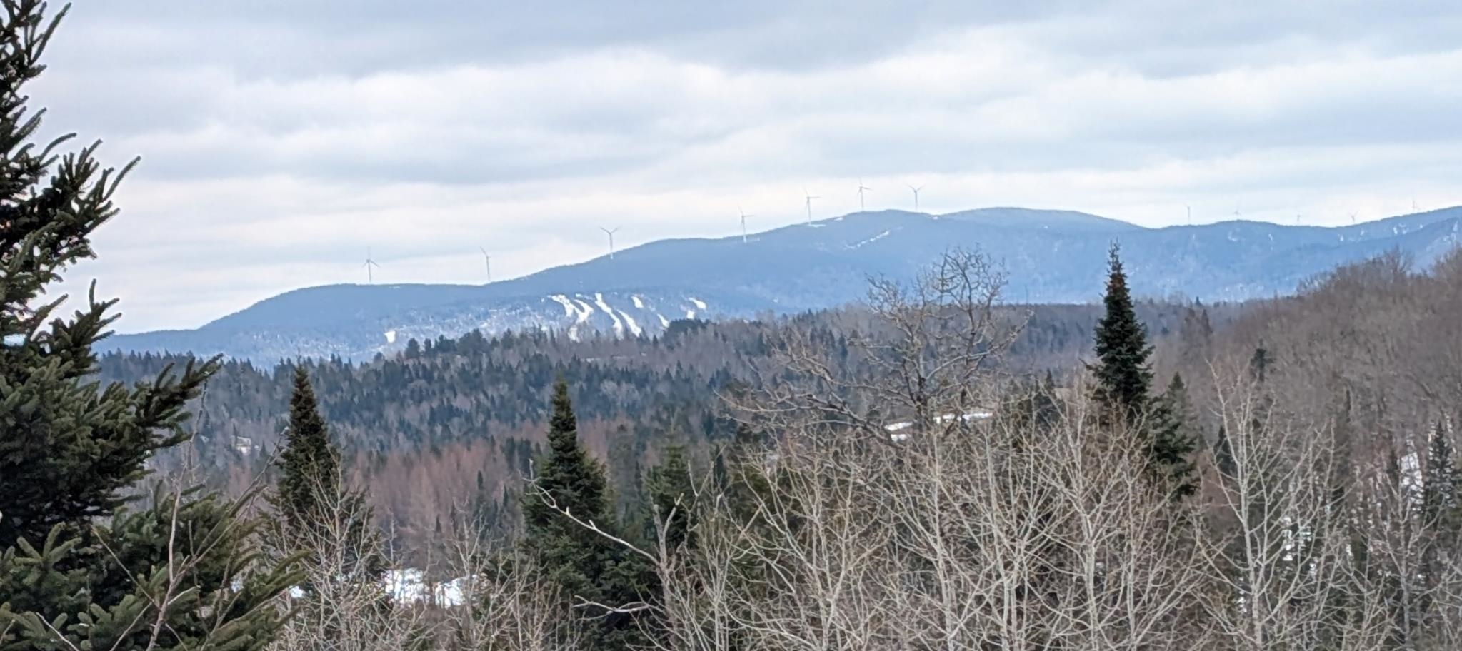 Bear Rock Rd, Stewartstown, NH 03576
