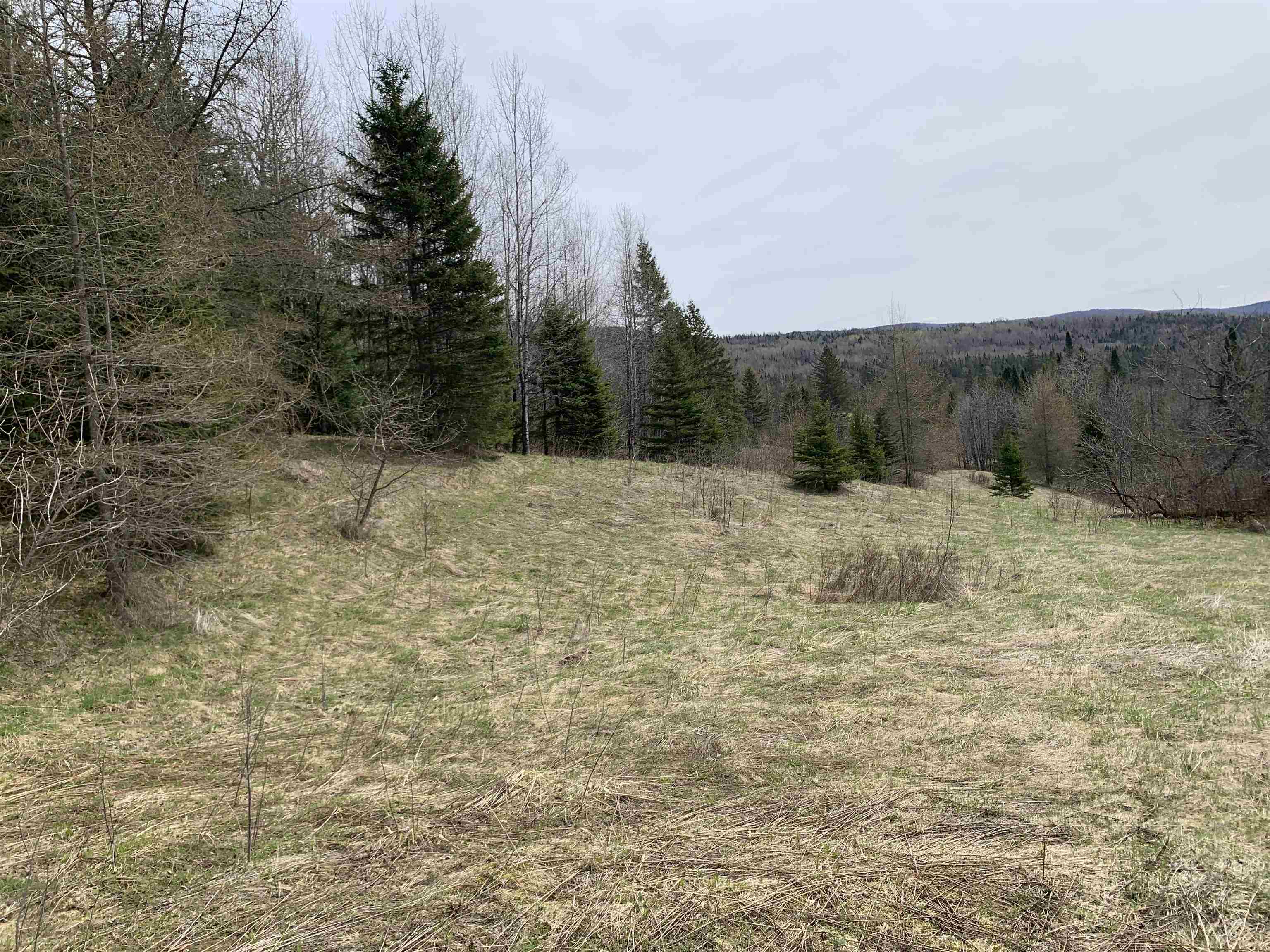 0 Bear Rock Rd, Stewartstown, NH 03576
