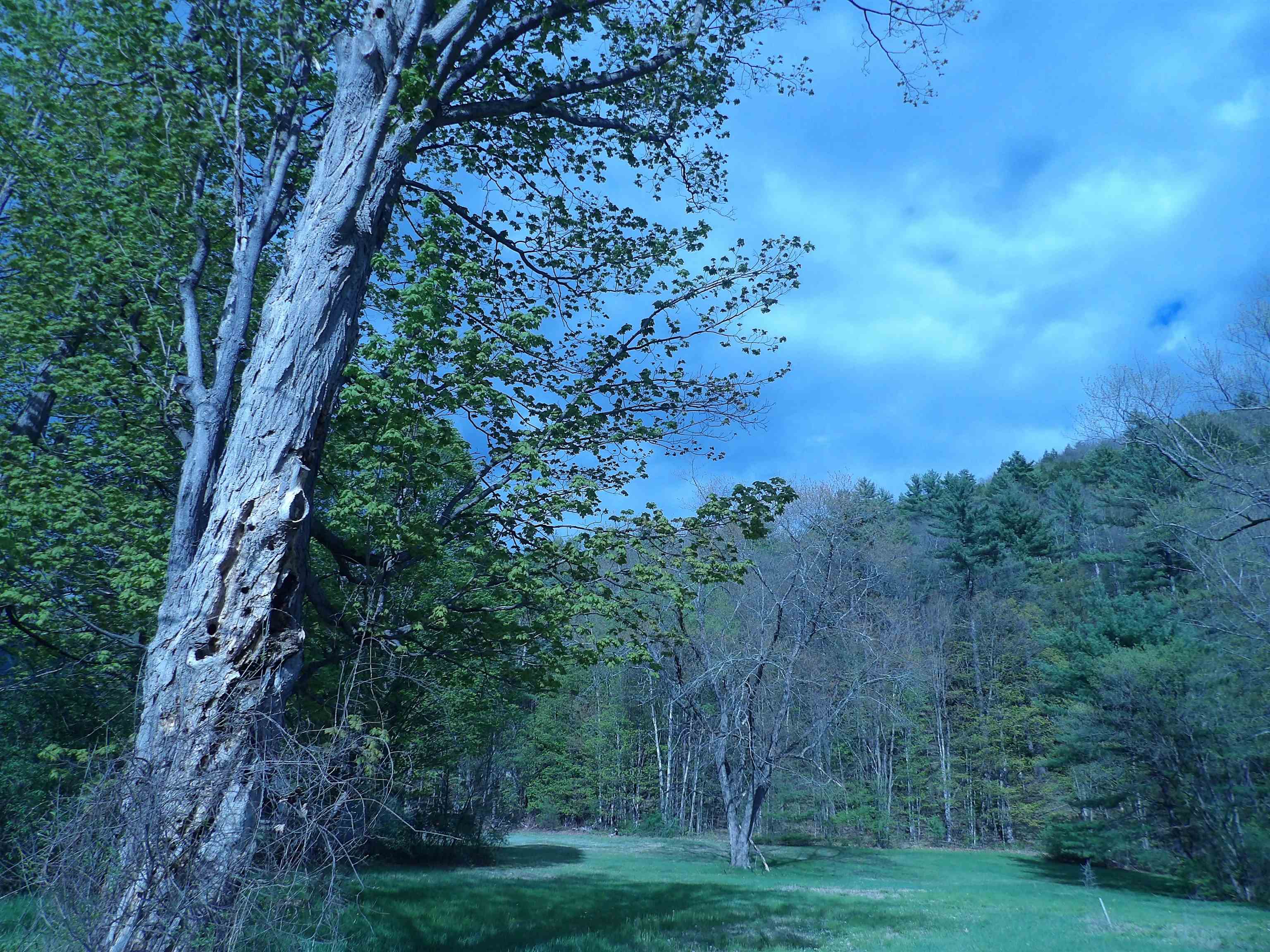 95 Old Church Rd, Claremont, NH 03743-5505