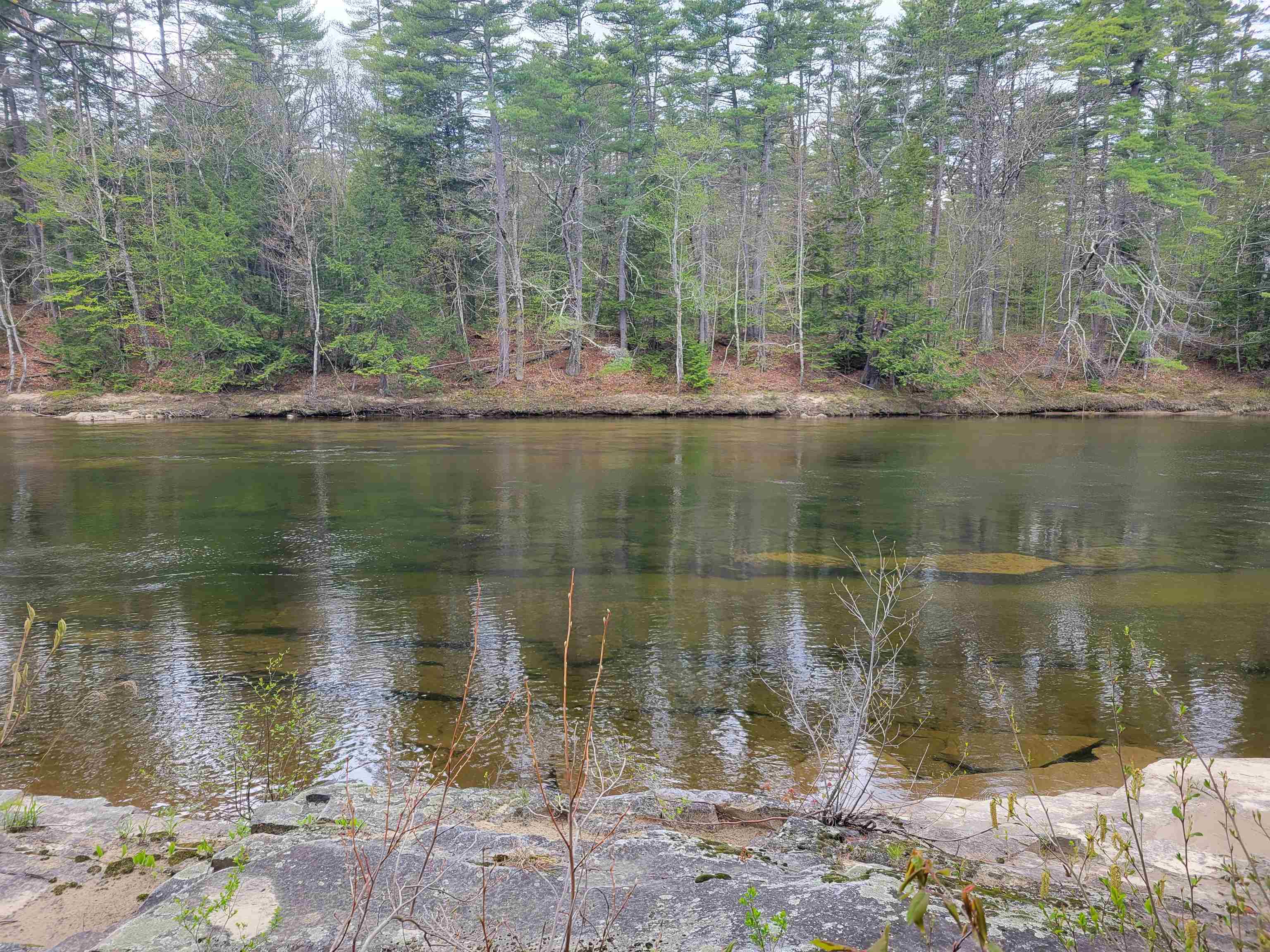 56 Bryant Dr, Conway, NH 03818