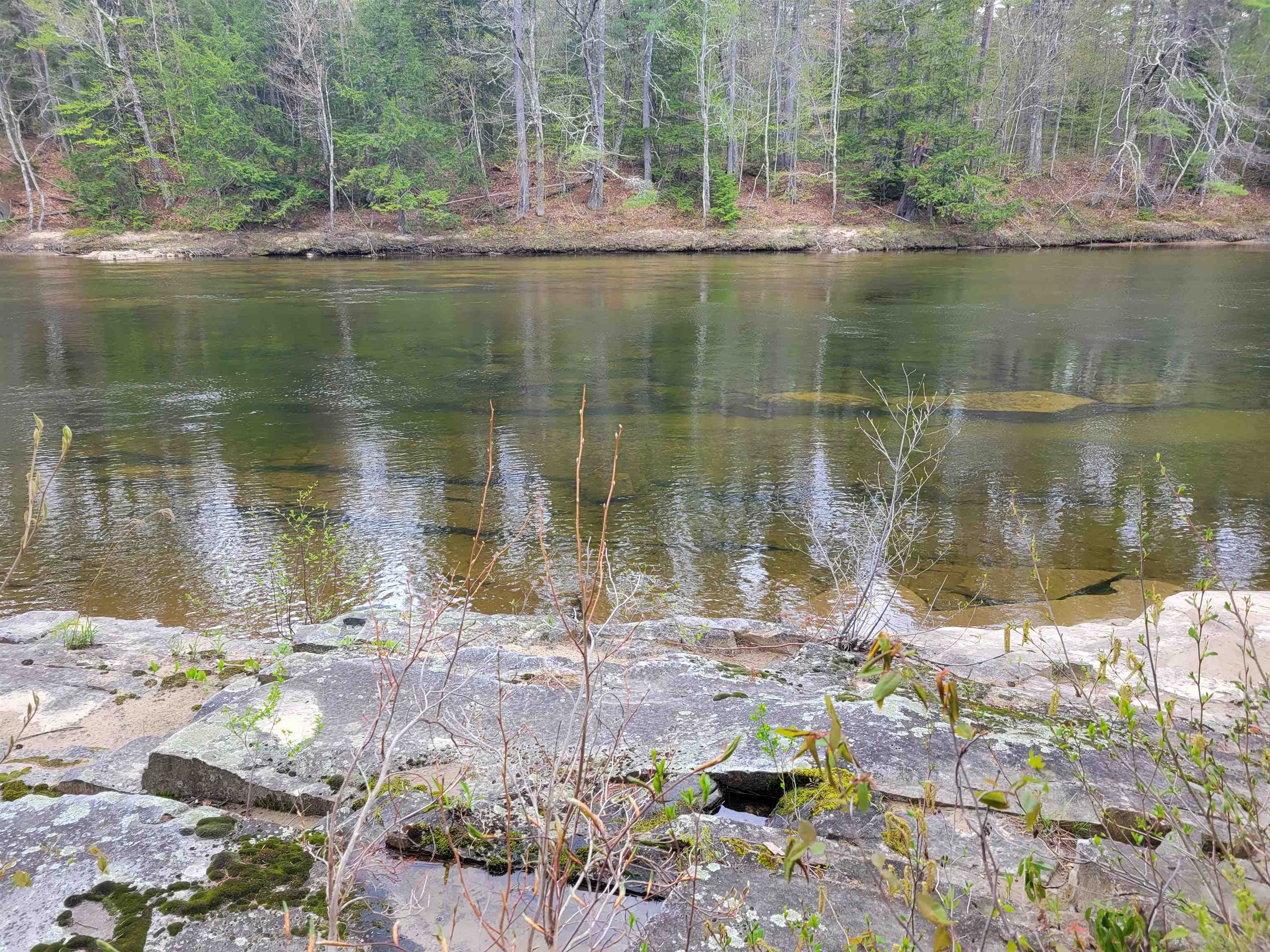 56 Bryant Dr, Conway, NH 03818