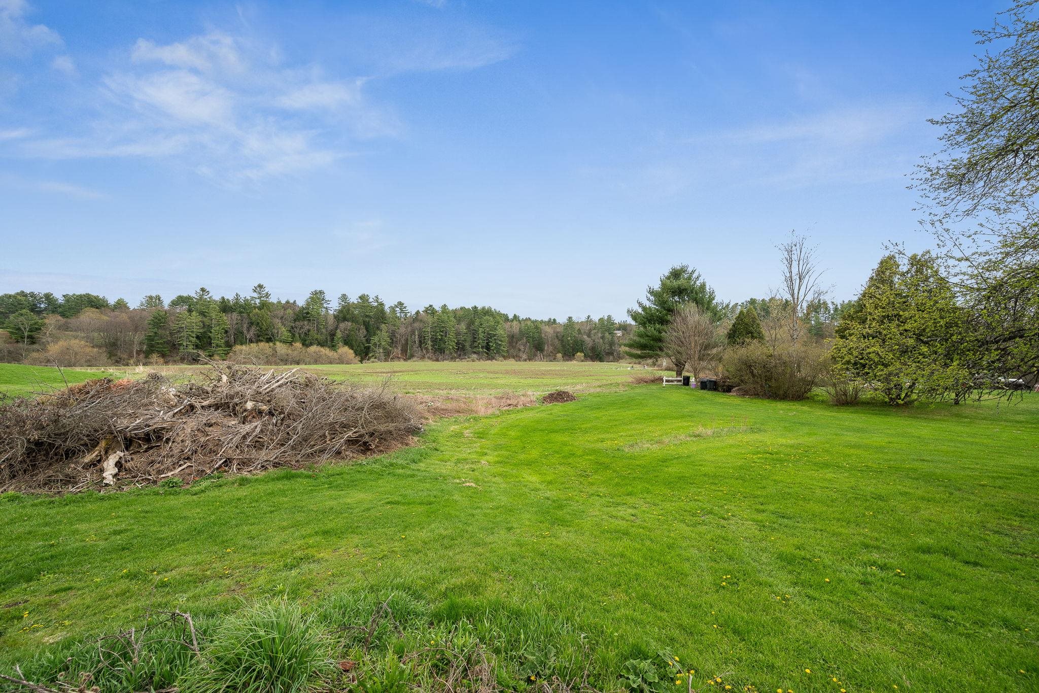 Over an acre of land out back