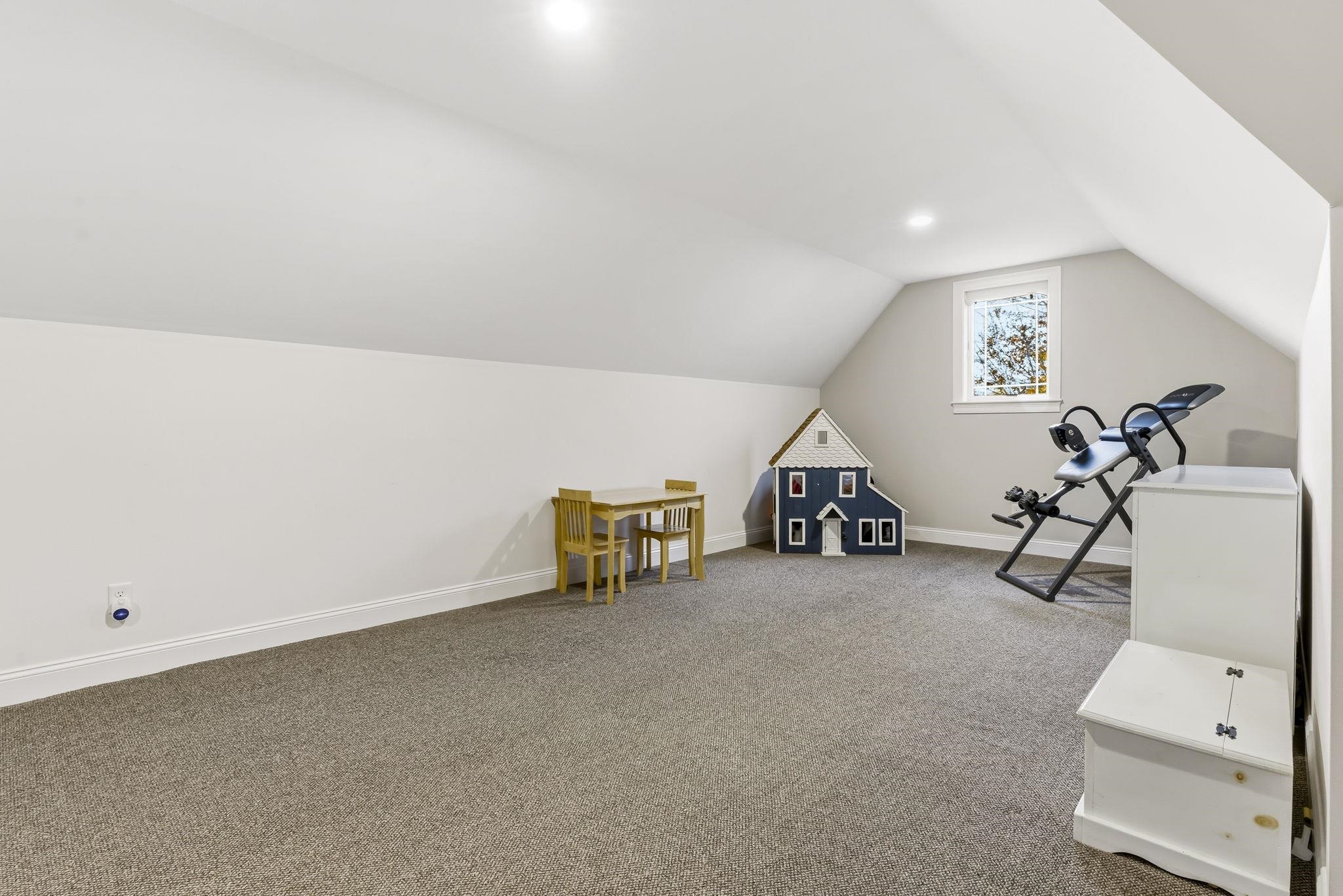 Bonus Room Fitness Area