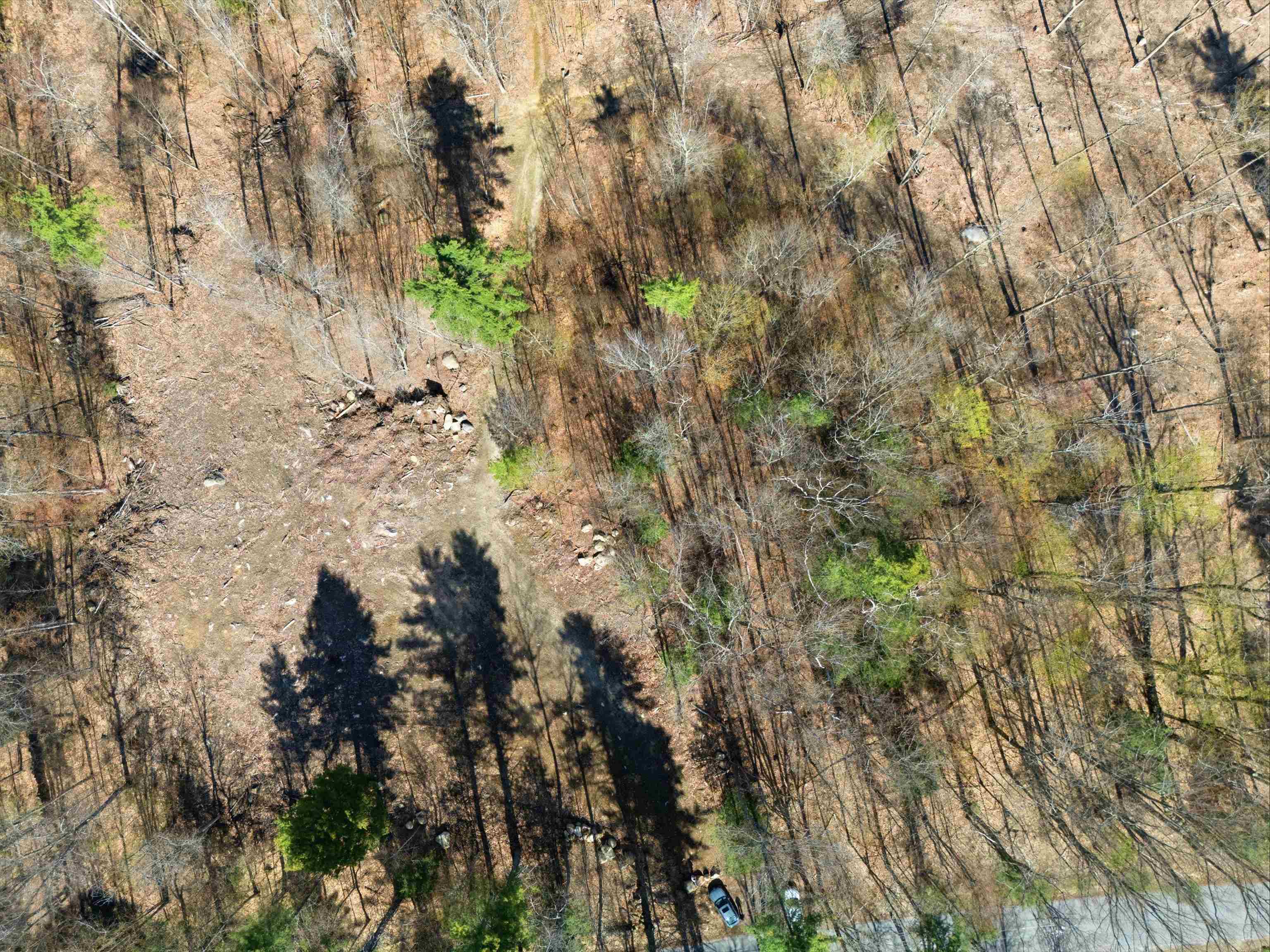 Lot 0-1-2 Pierce Lake Rd, Antrim, NH 03440