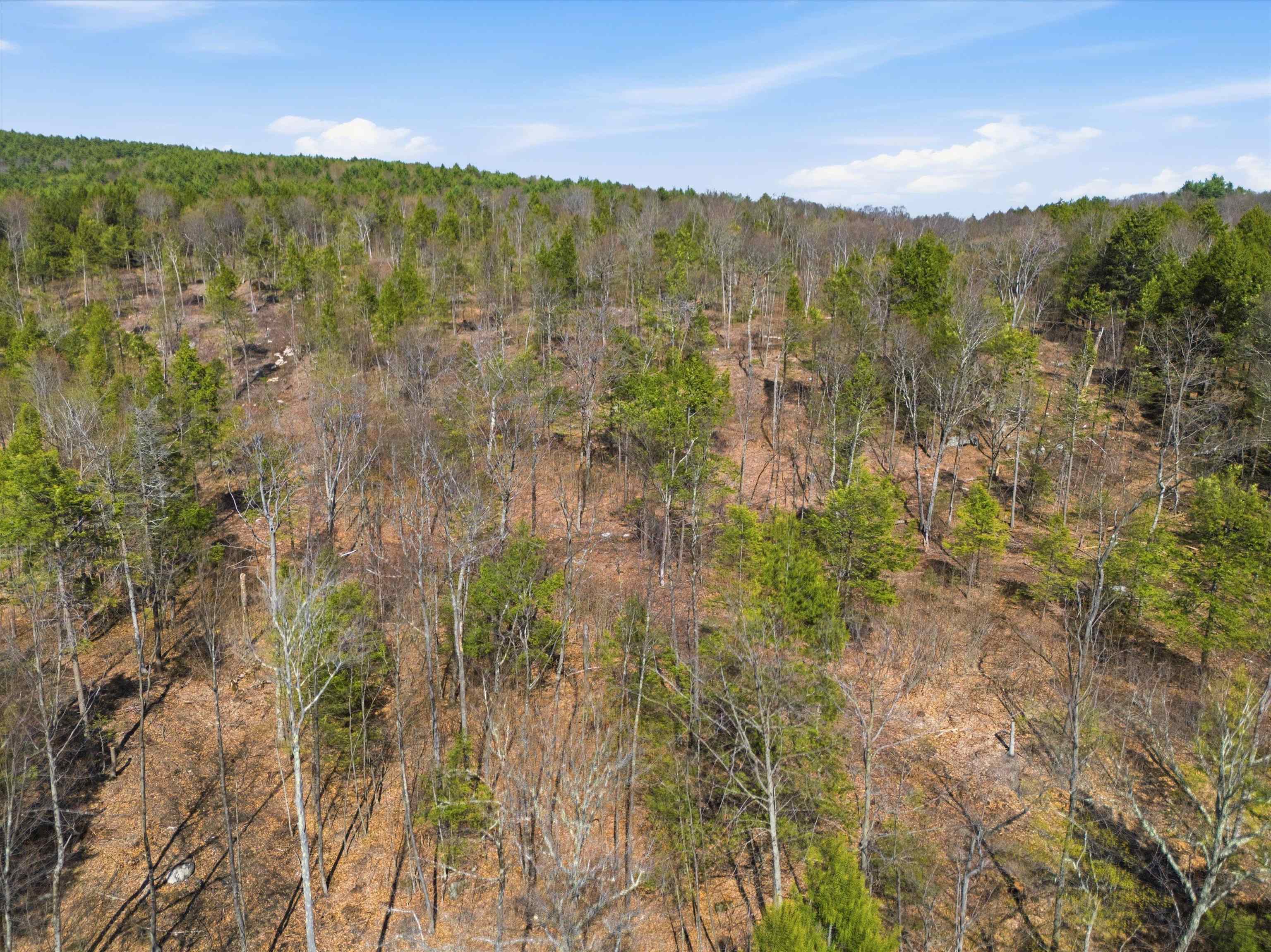 Lot 0-1-2 Pierce Lake Rd, Antrim, NH 03440
