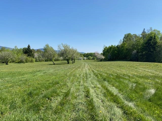 Off Reed Rd, Colebrook, NH 03576