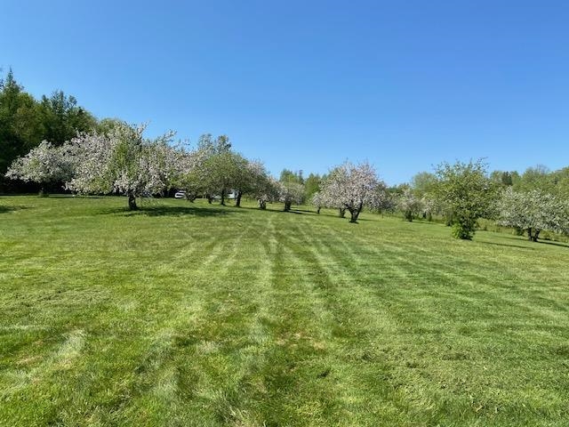 Off Reed Rd, Colebrook, NH 03576