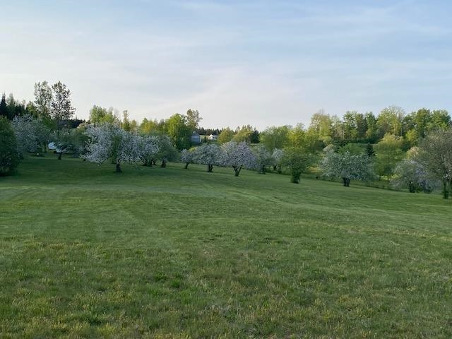 Off Reed Rd, Colebrook, NH 03576