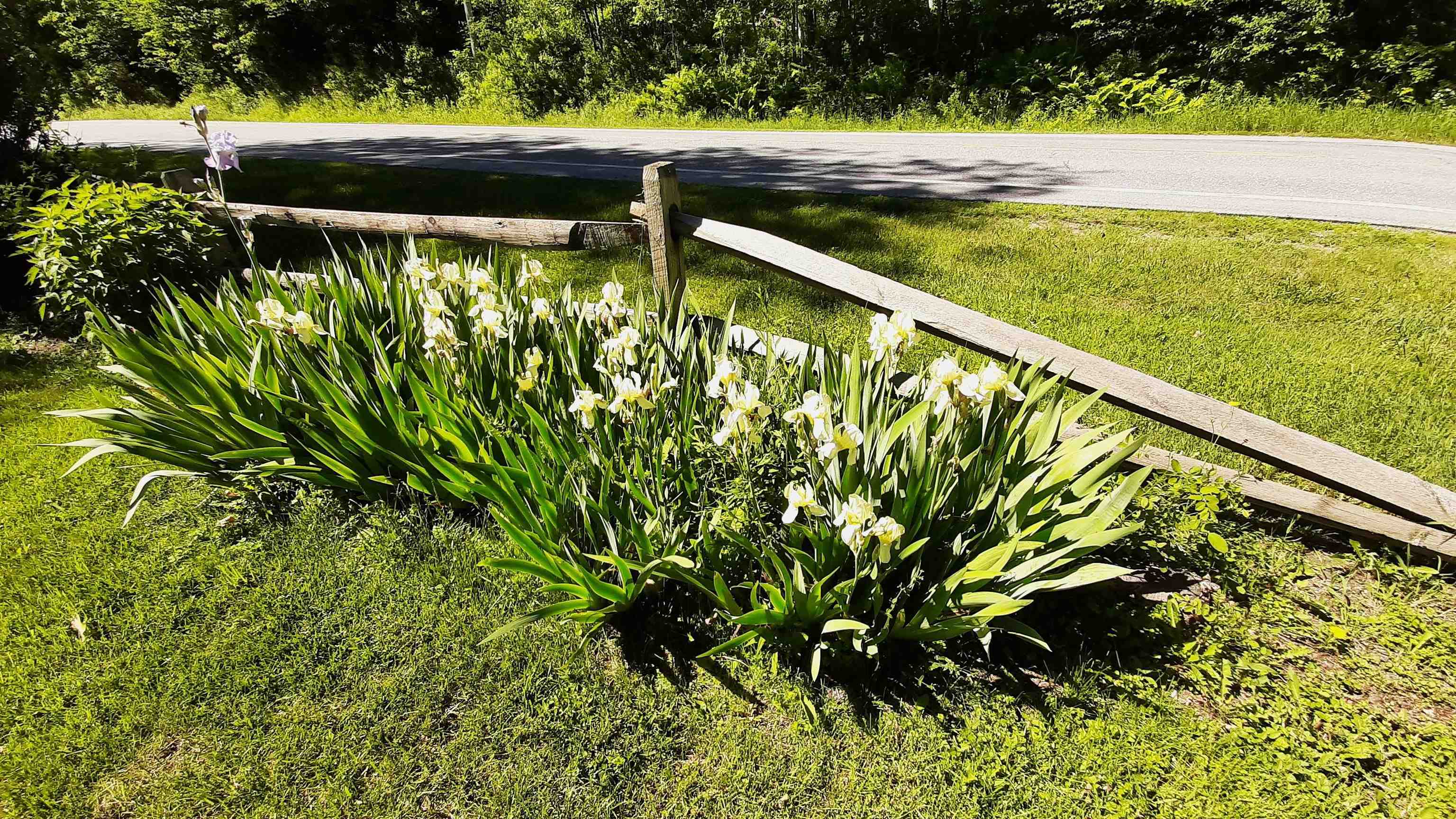 Property photo 57
